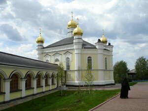 Alexander Nevsky Novo-Tikhvinsky Convent (Zelyonaya Roscha Street, 1), monastery, convent, abbey