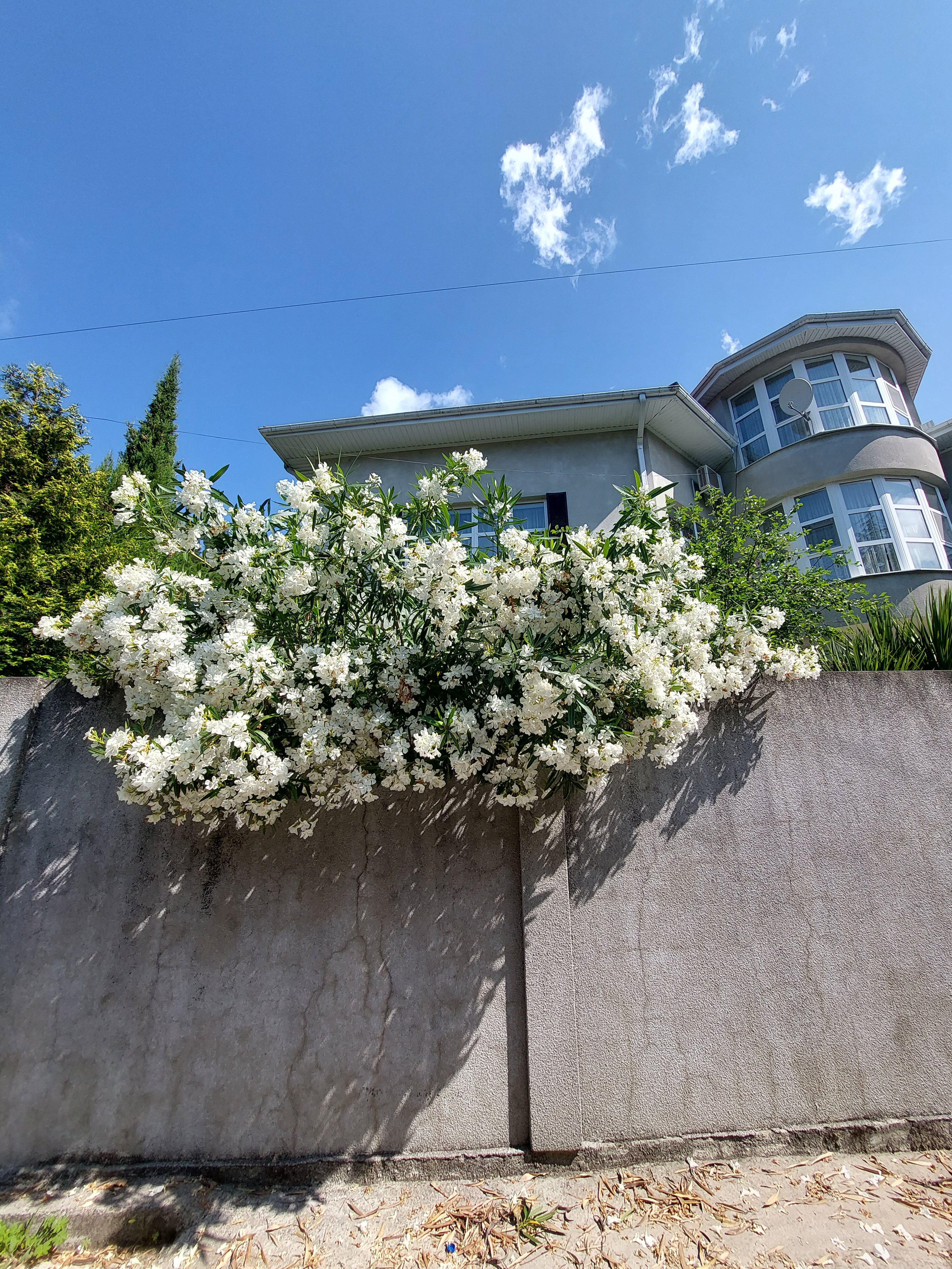 Фото Виктория