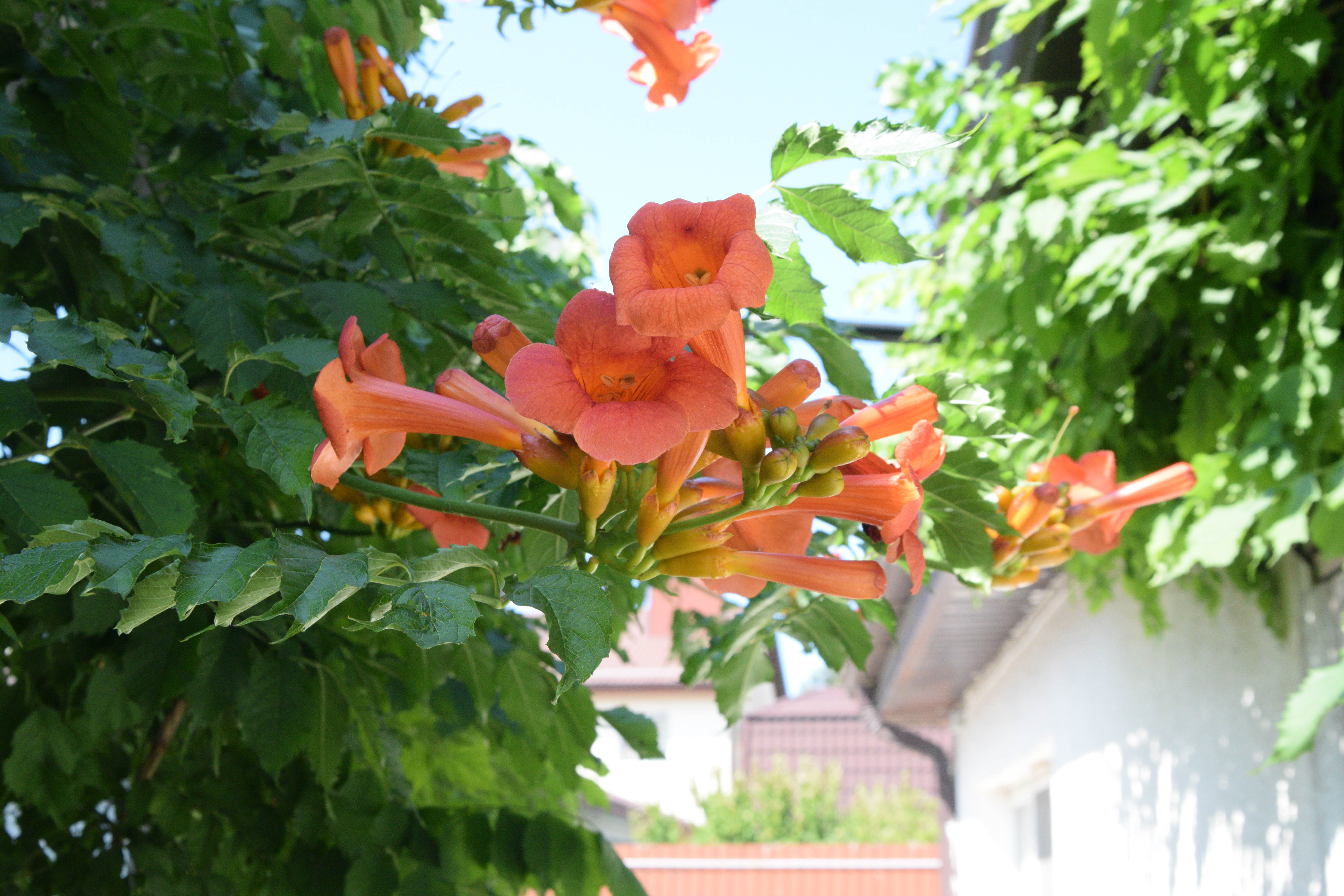 Фото В гостях у сказки