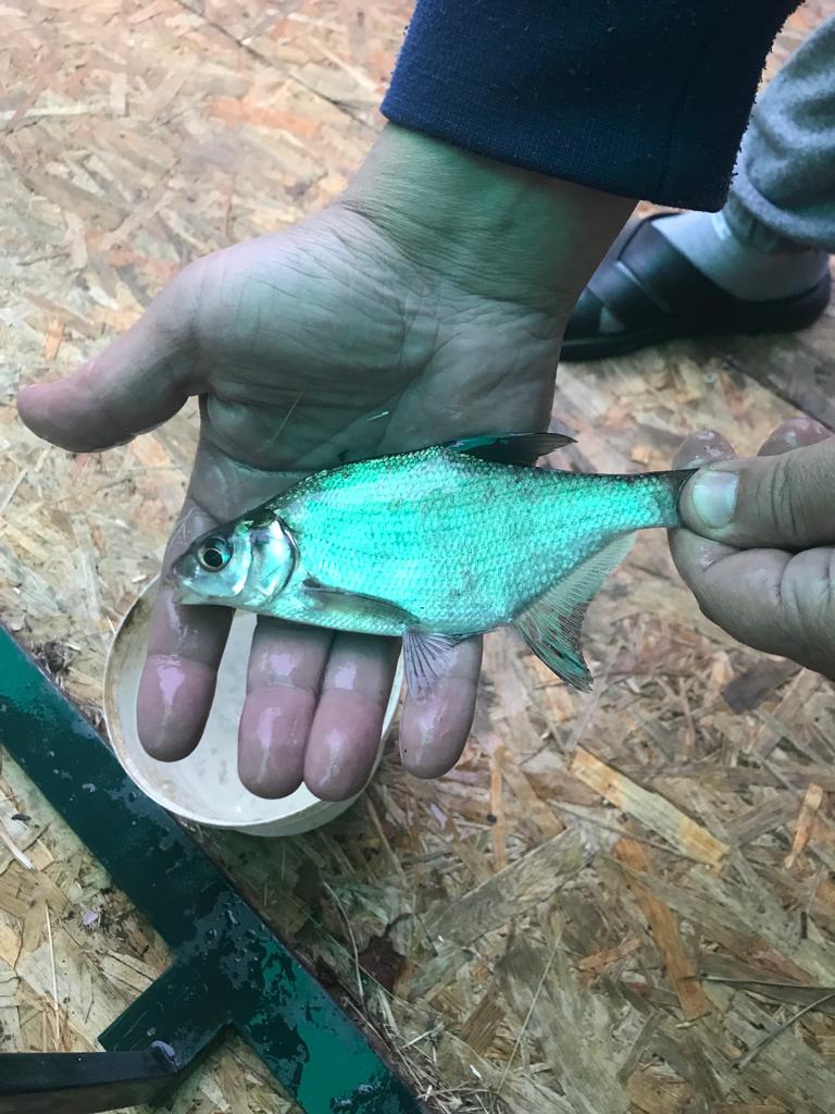 Фото Прованс