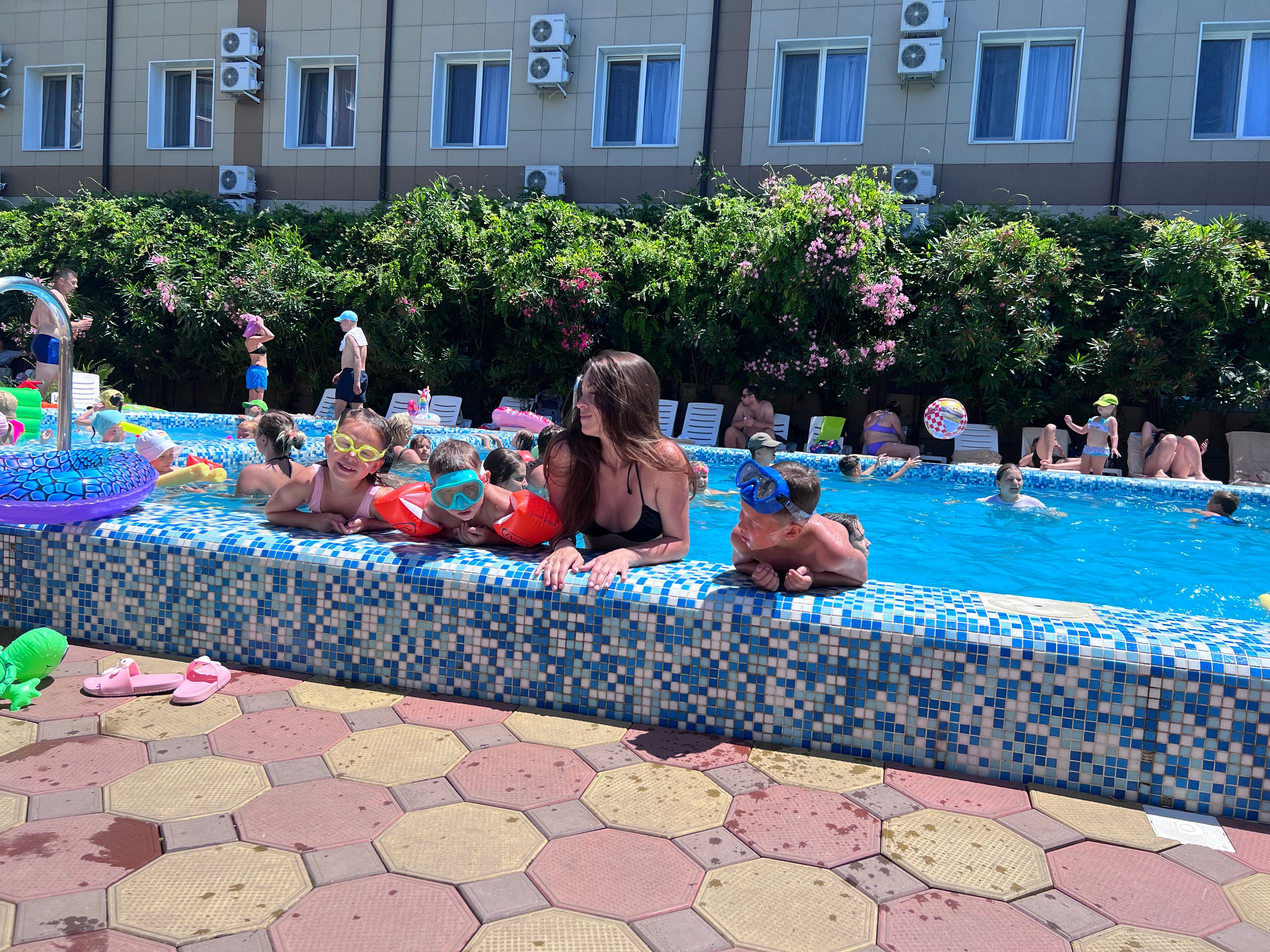 Фото Азалия