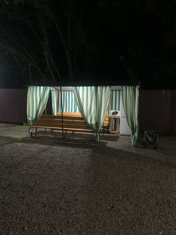 Фото Березка