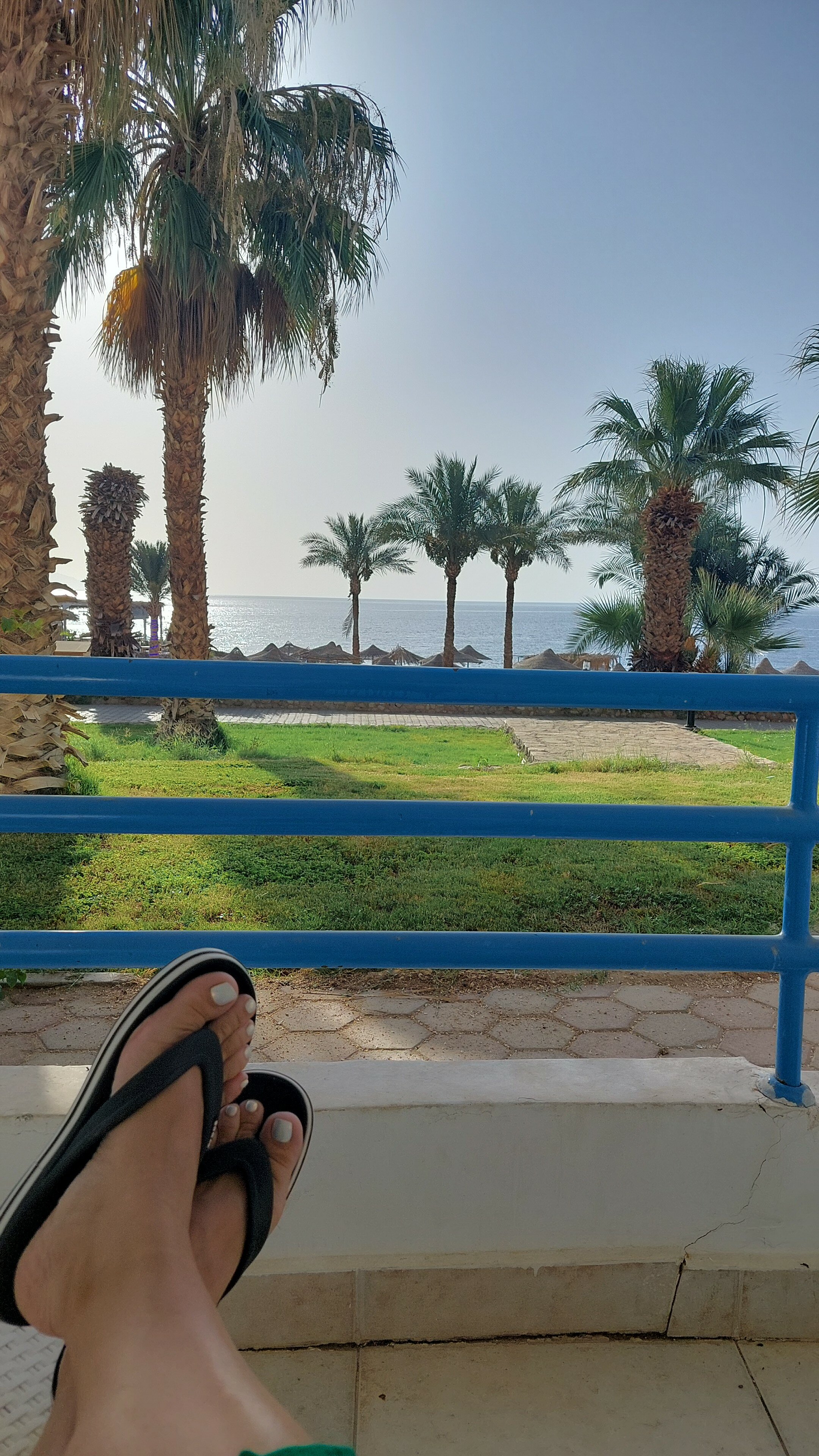 Фото Куин Шарм Резорт Вью