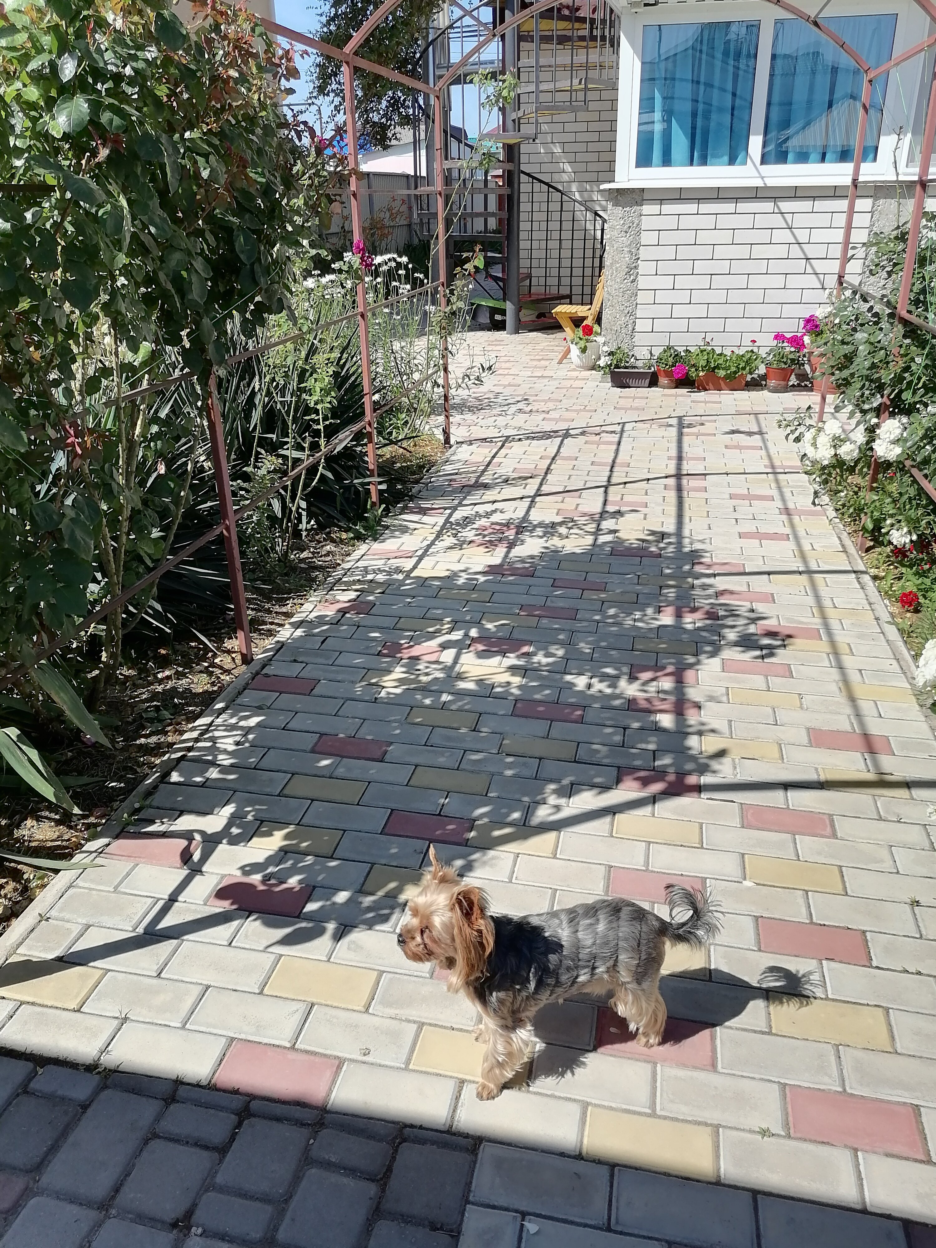 Фото Белогорье