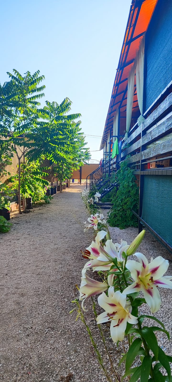 Фото Ковчег