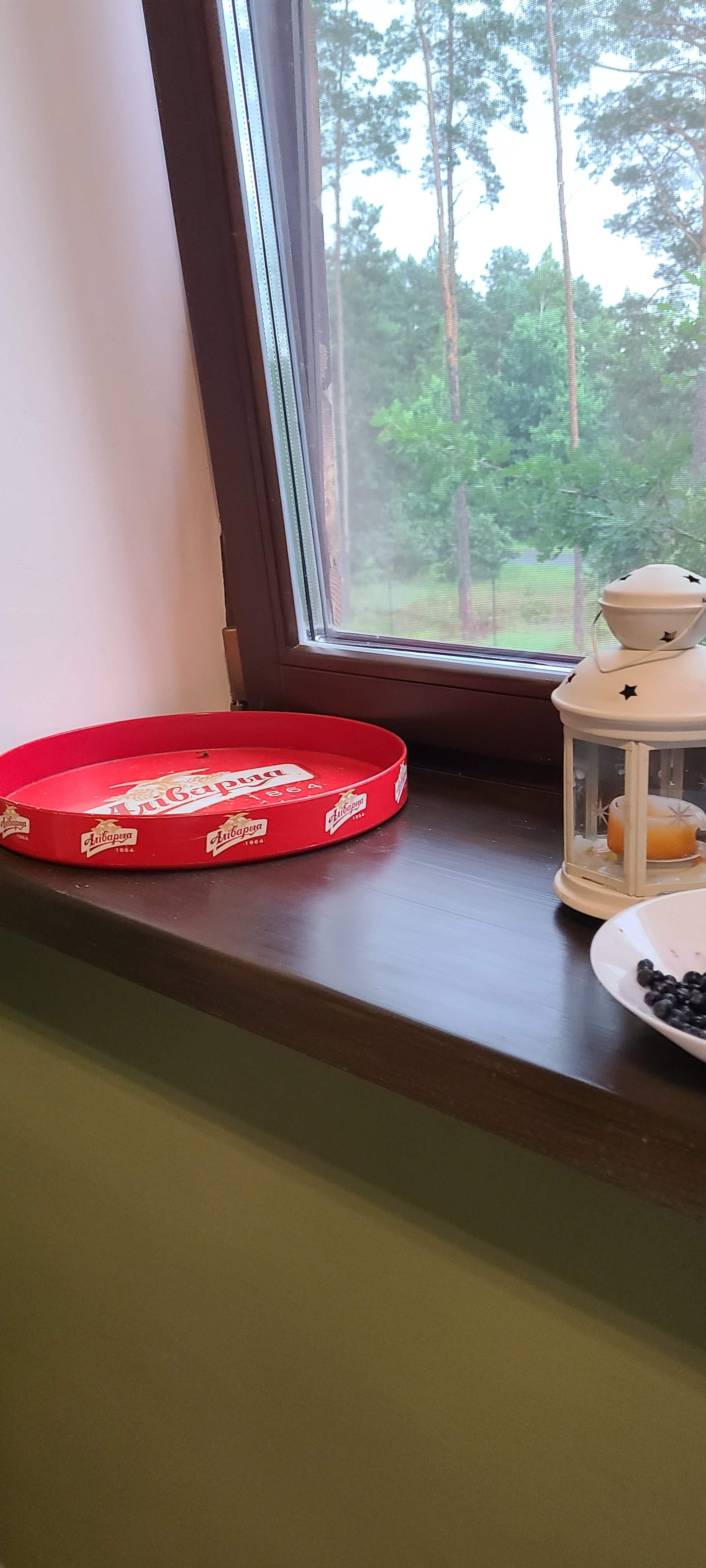 Фото Ezera Park Hotel