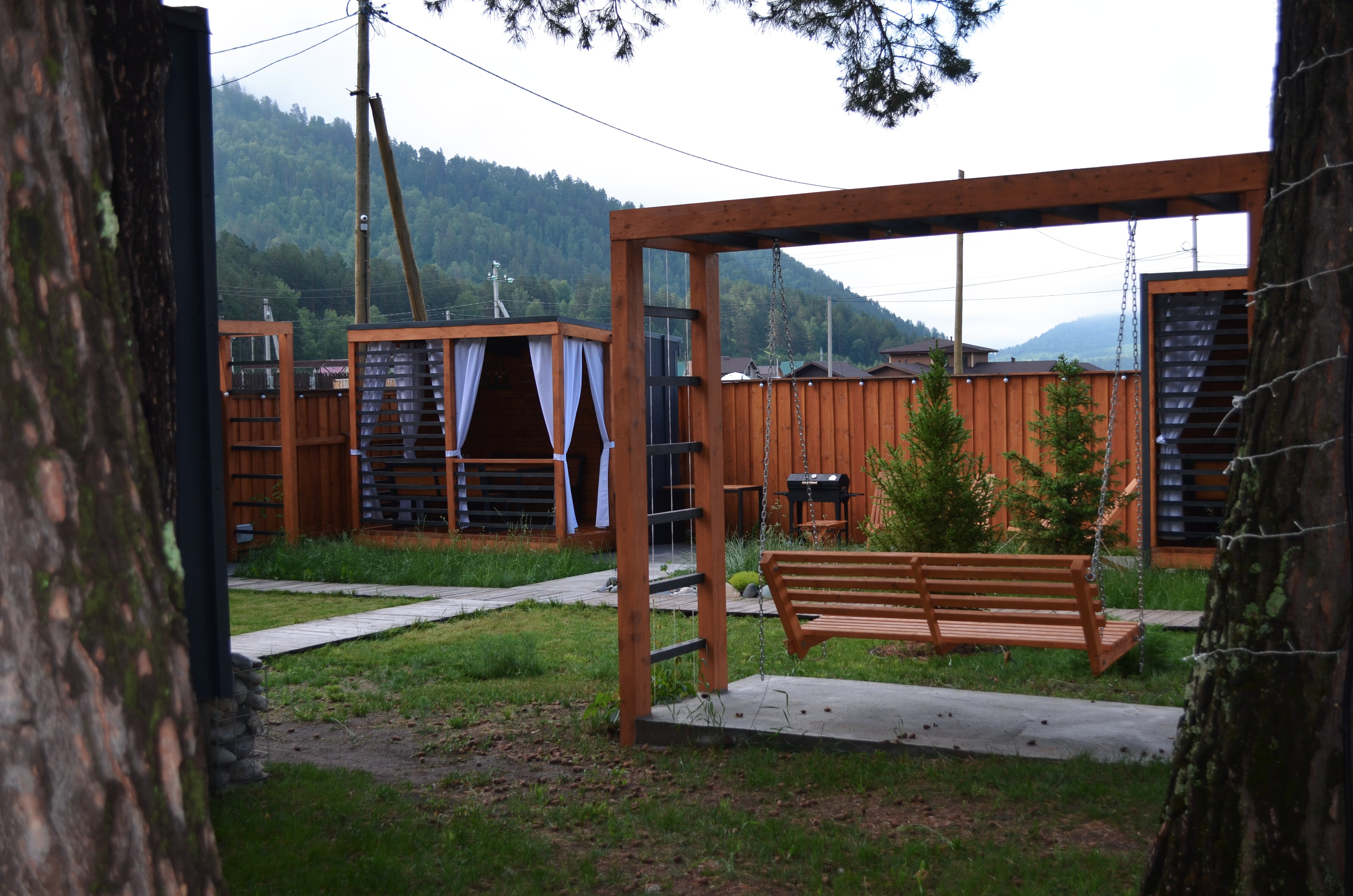 Фото Лес ДО небес