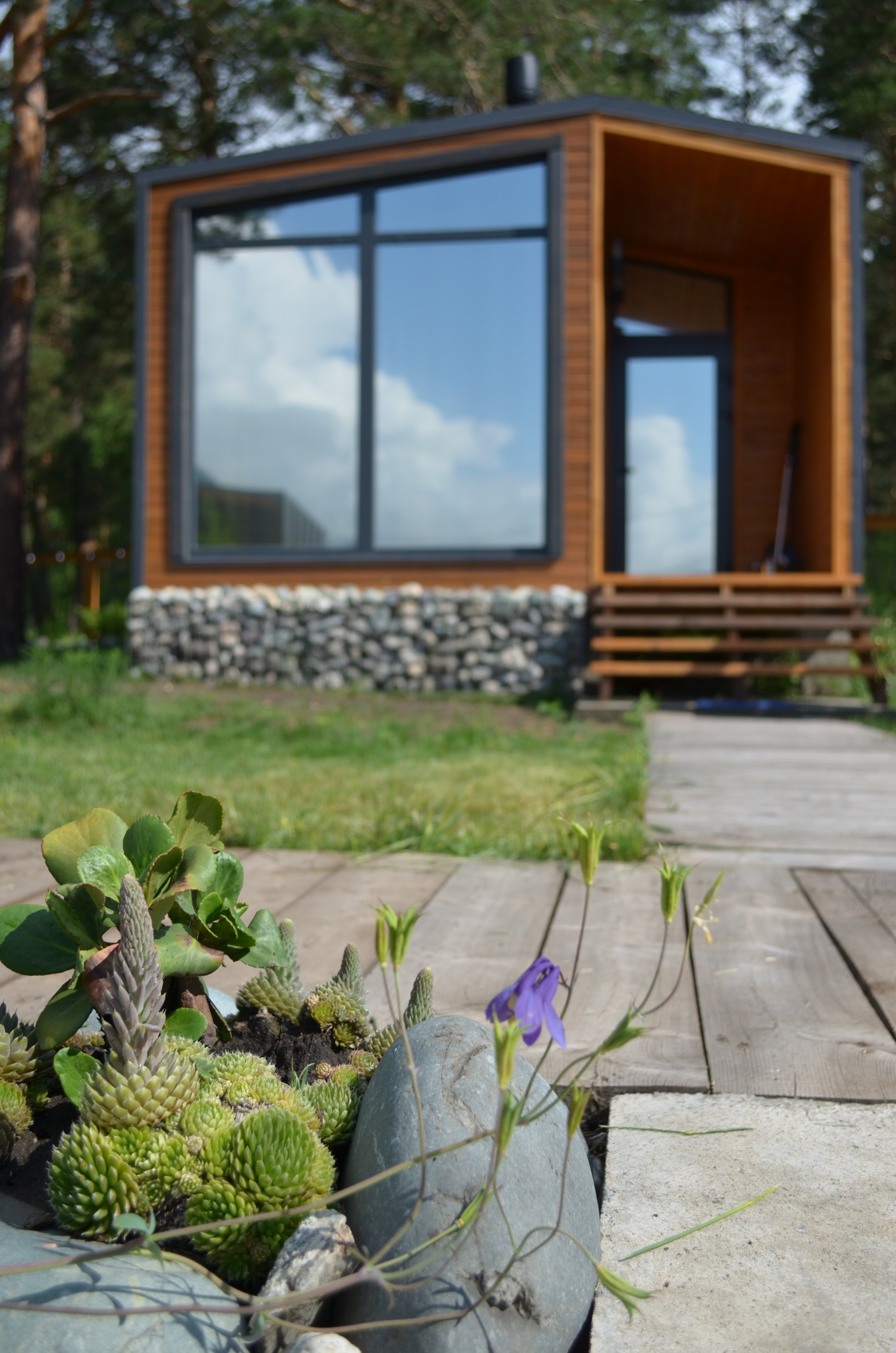 Фото Лес ДО небес