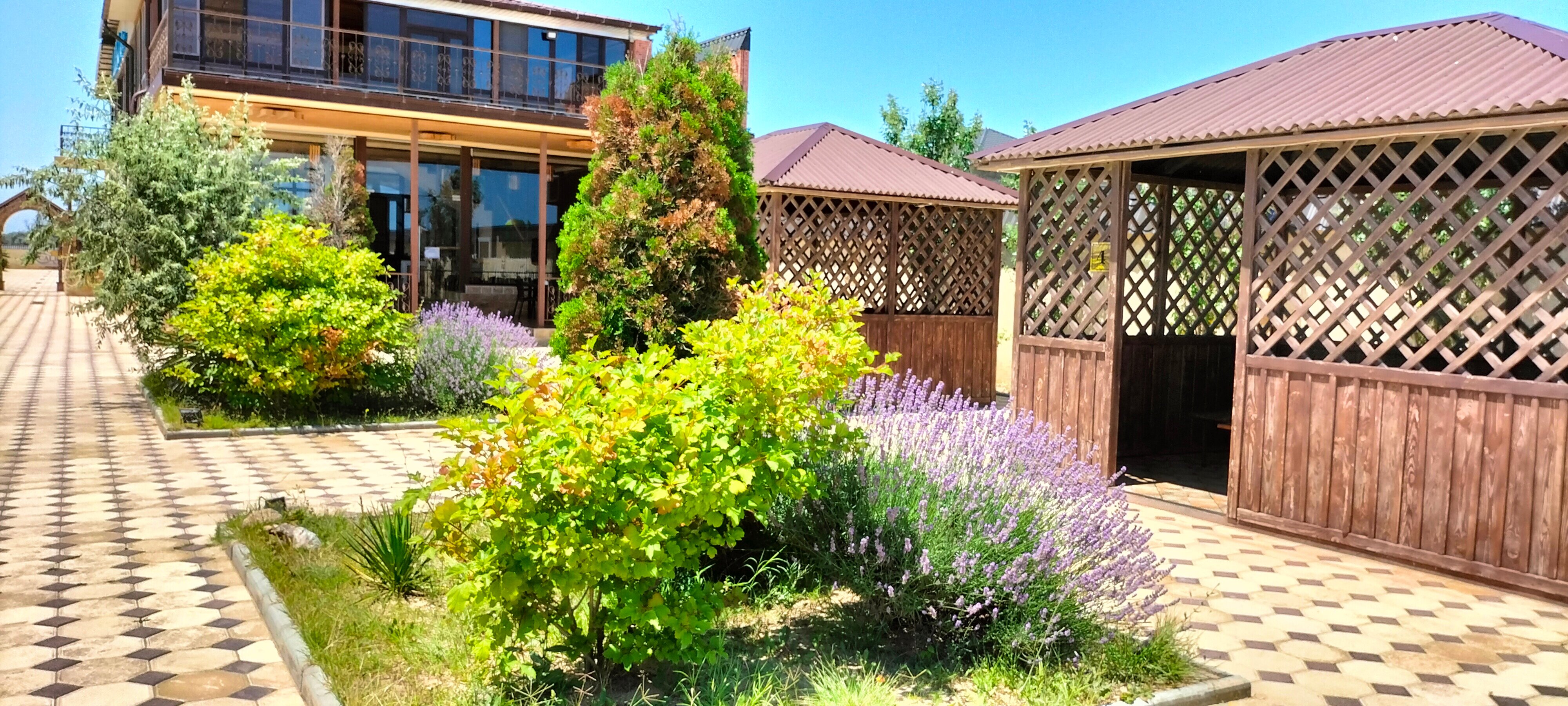 Фото Calipso Palace