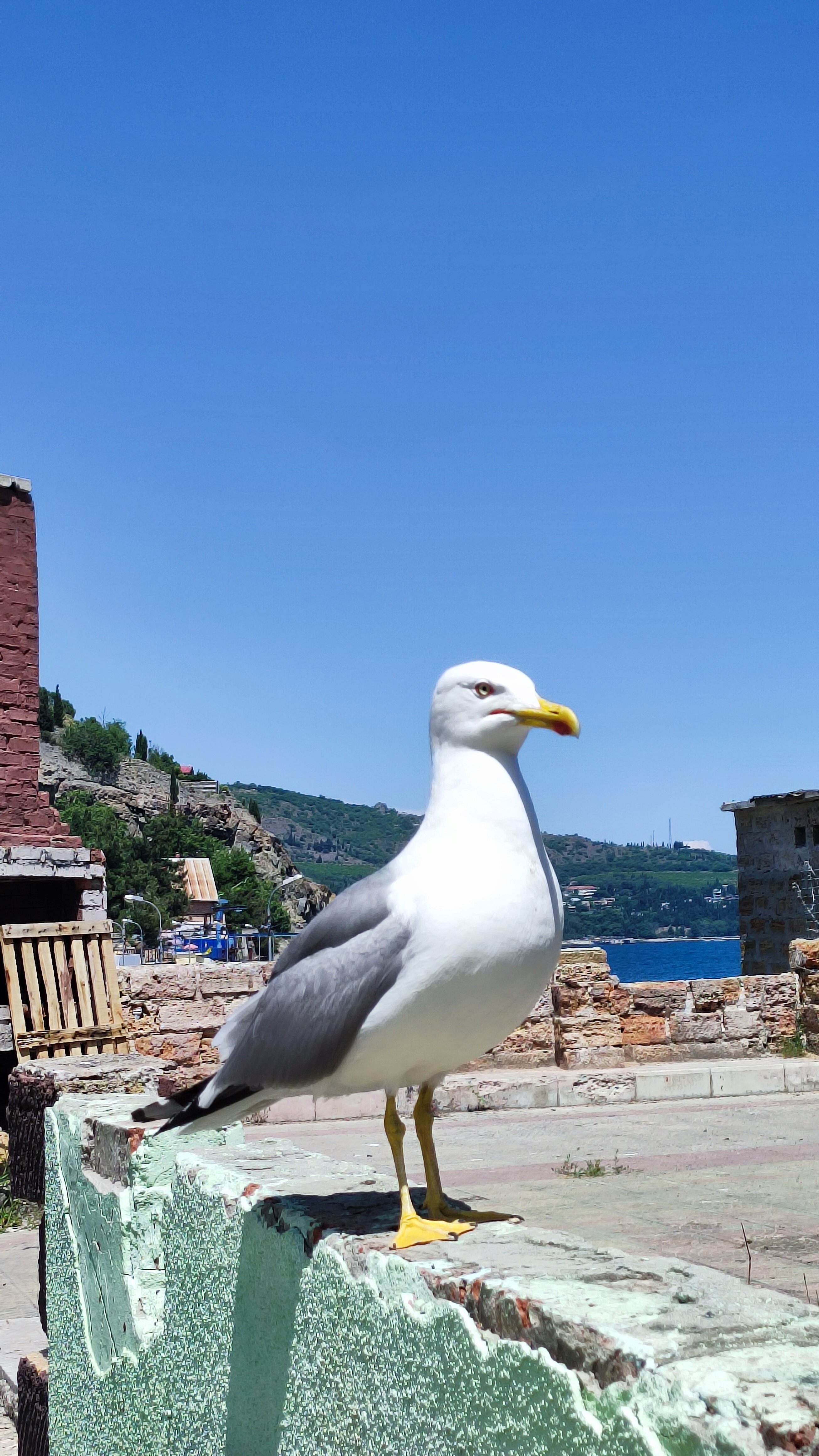 Фото Сальвадор