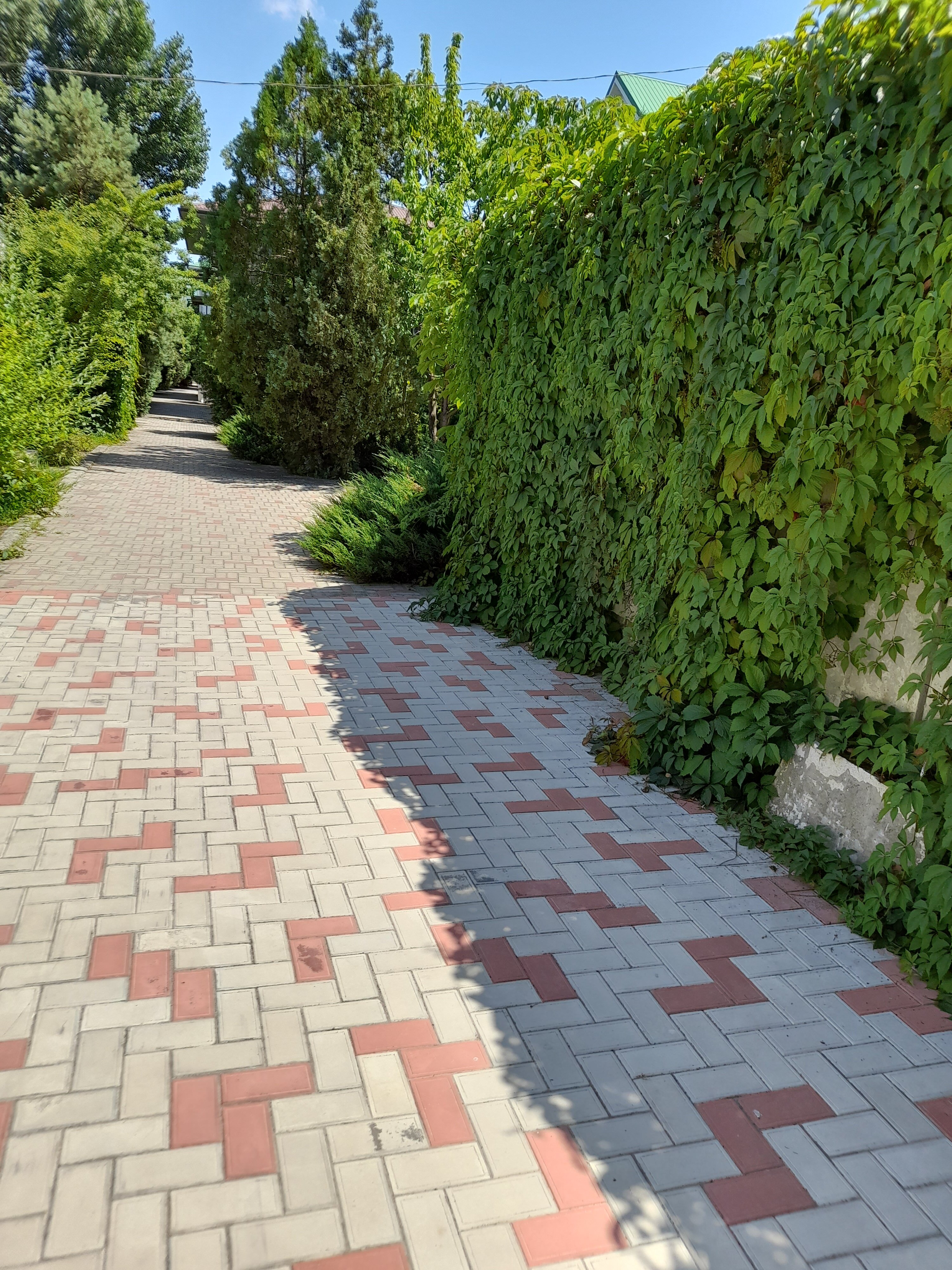 Фото Лукоморье