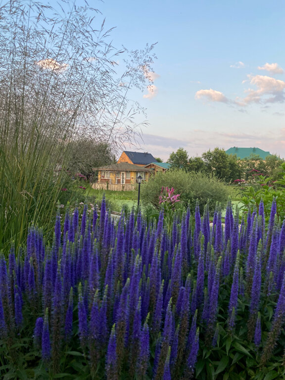 Фото Раздолье