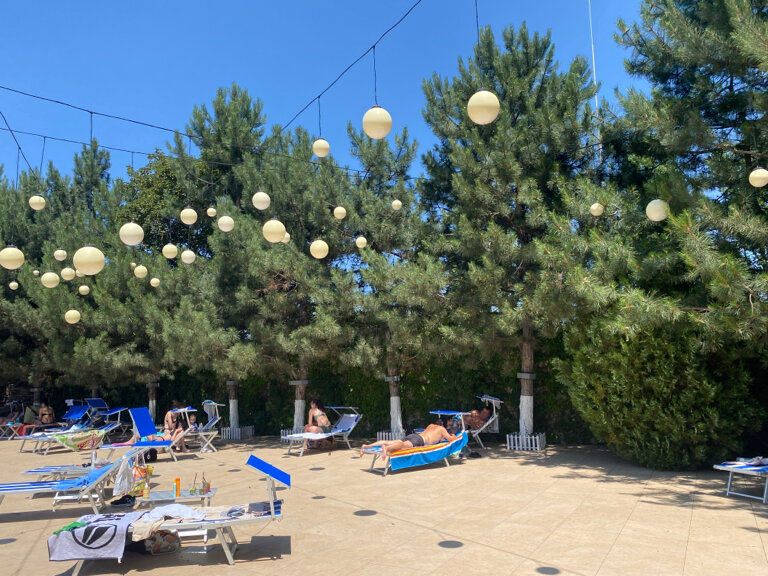 Фото Президент