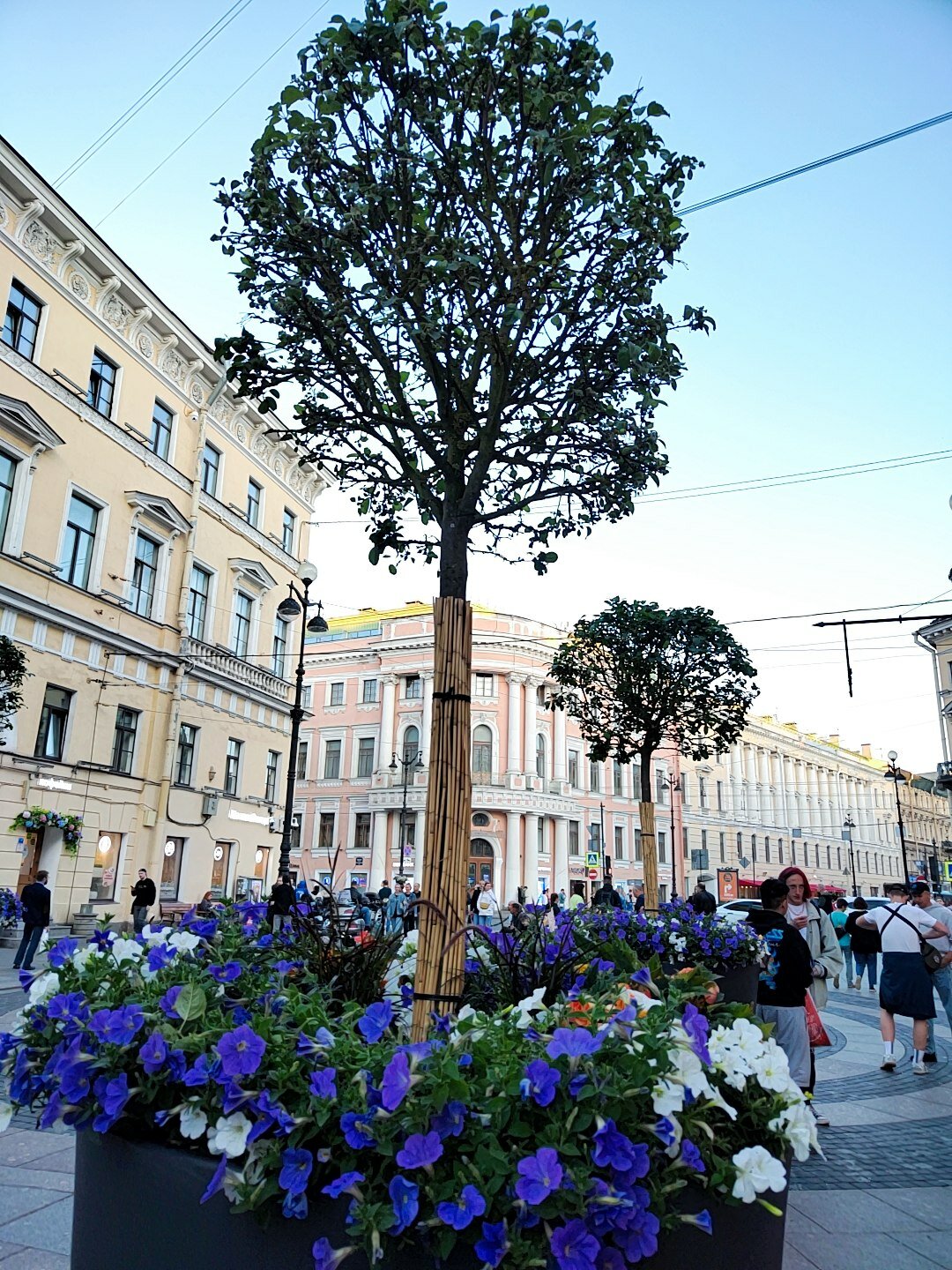 Фото Виктория