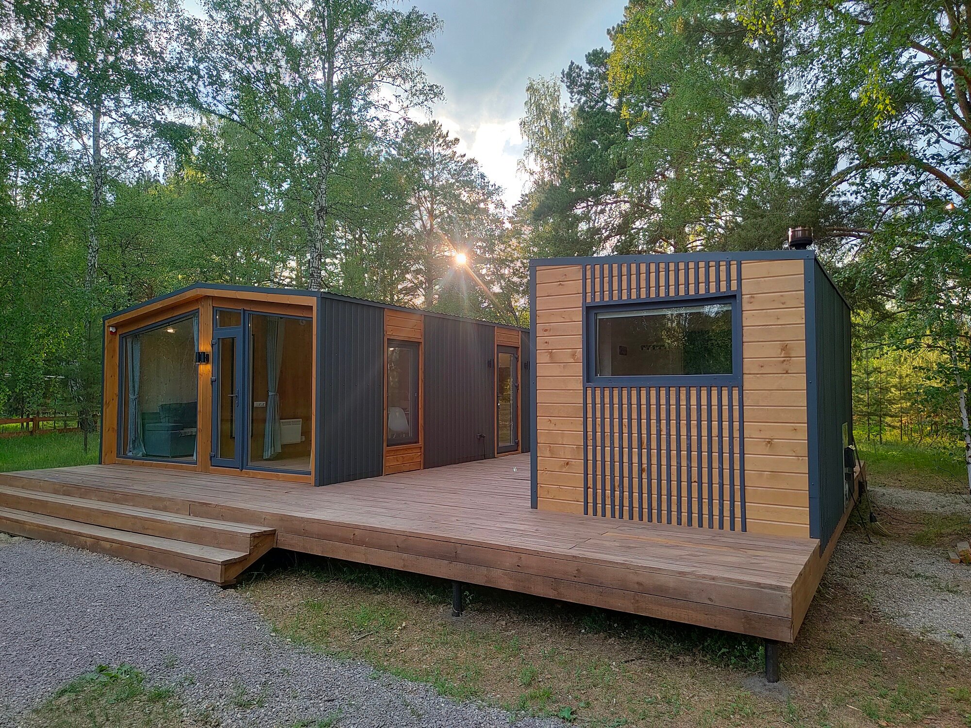 Фото Ветер в соснах