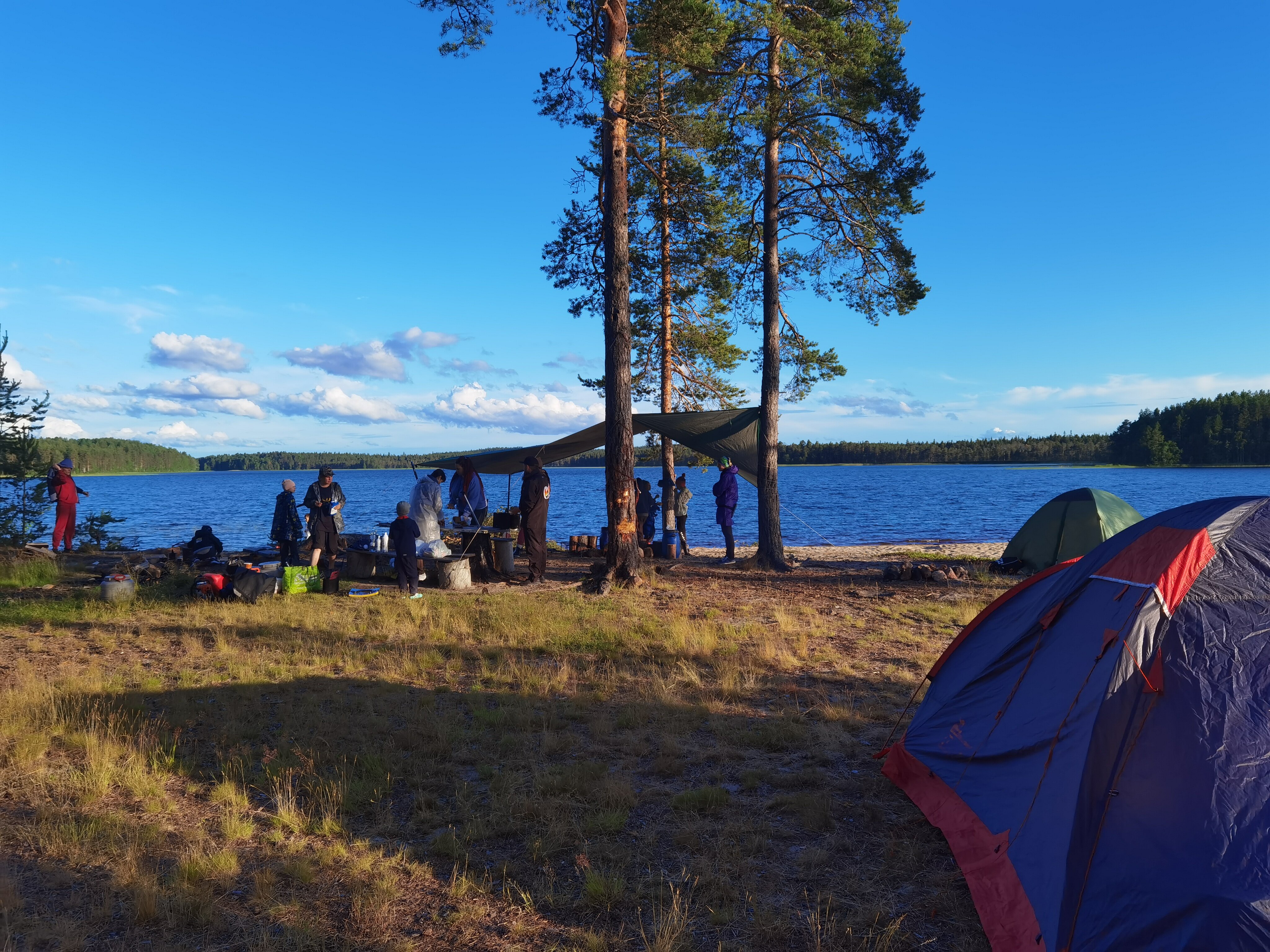 Фото Поляна