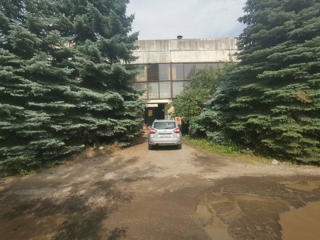 Wrought iron Стальной узор, Pskov, photo