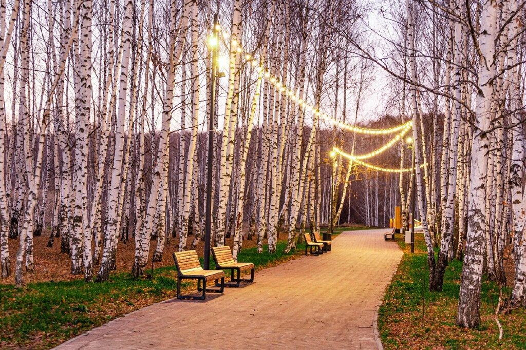 Mədəniyyət və istirahət parkı Берёзовая роща, , foto