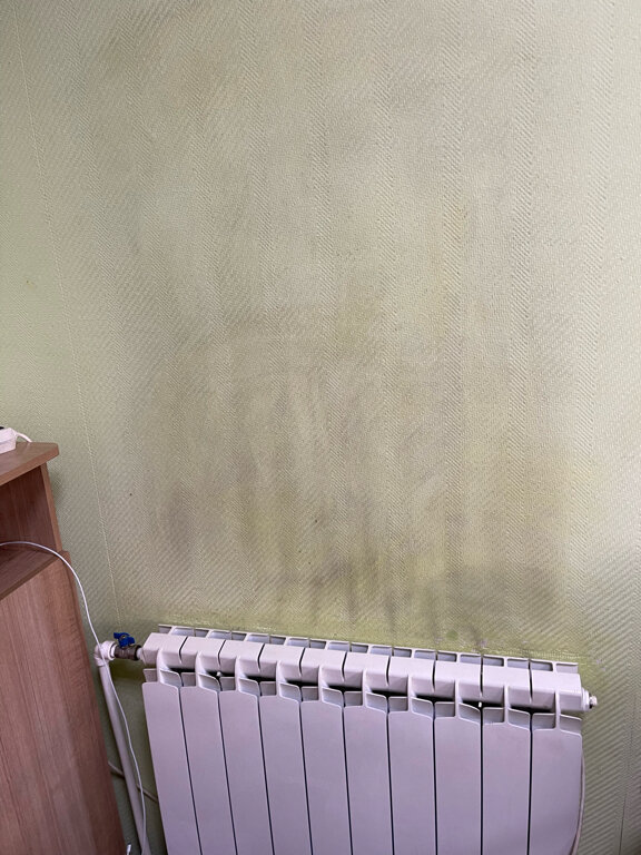 Фото Медведь