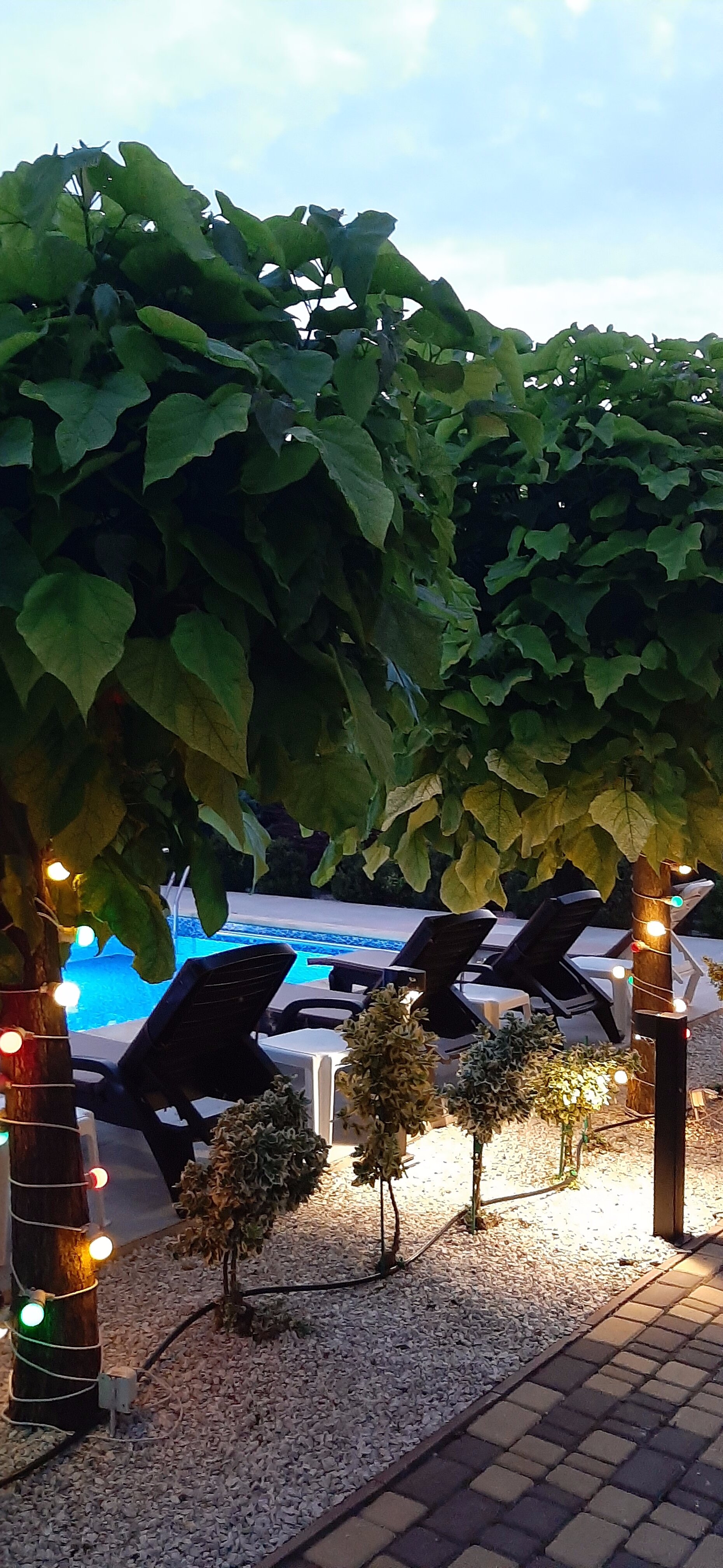 Фото Позитиff