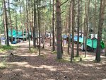 Кемпинг (Leningrad Region, Lomonosovskiy District, Lebyazhenskoye gorodskoye poseleniye), camping area