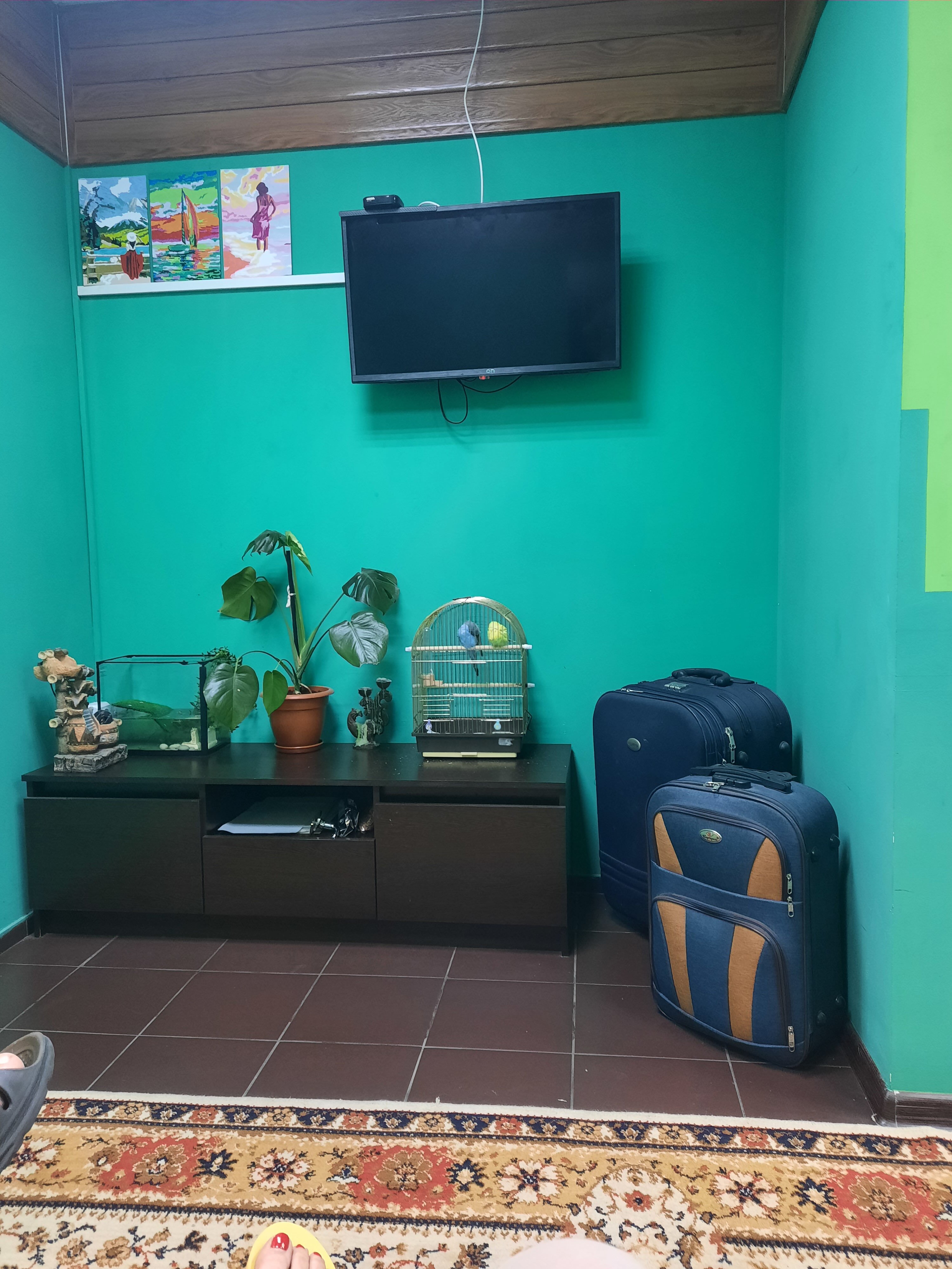 Фото Регион 13