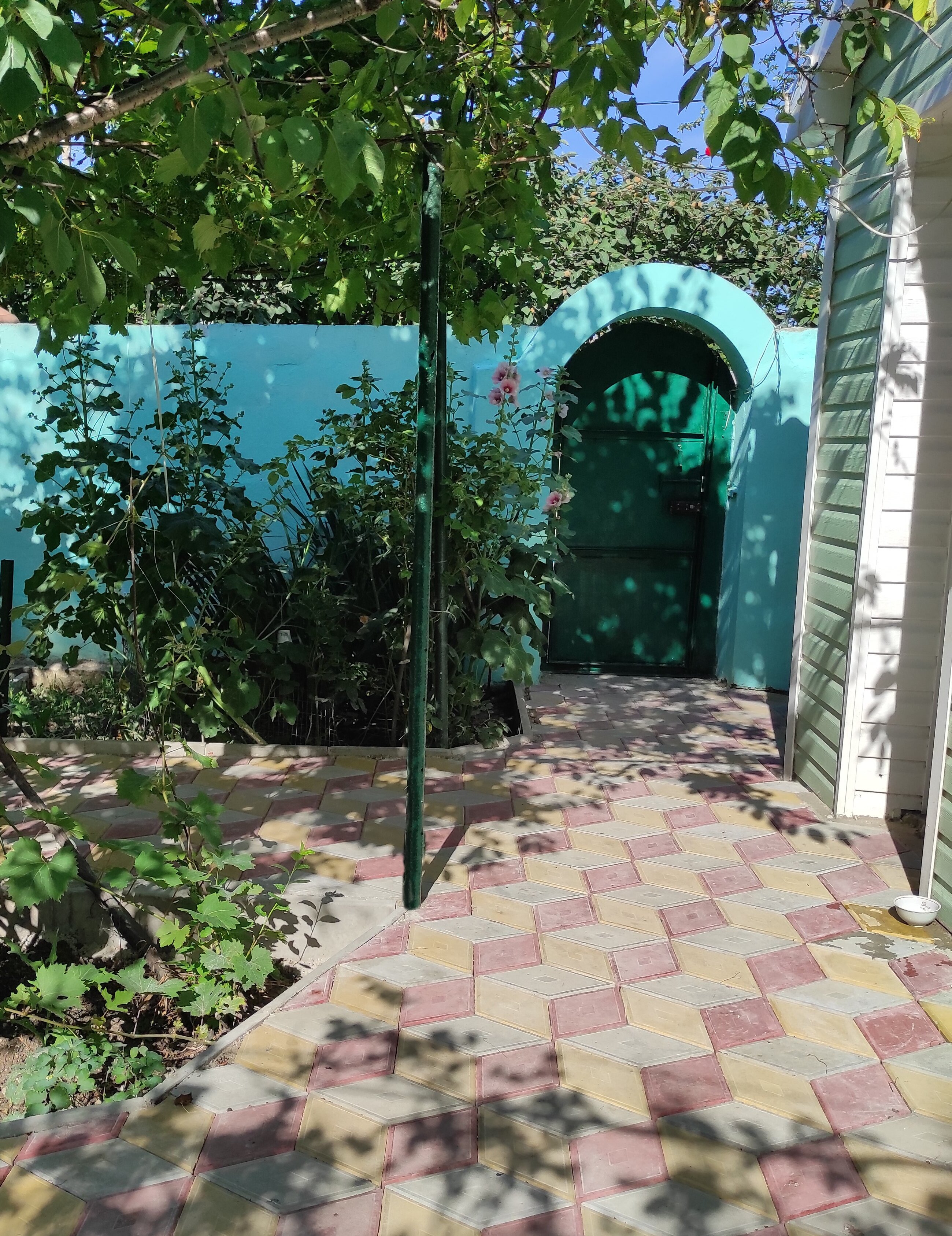 Фото Приморский 1