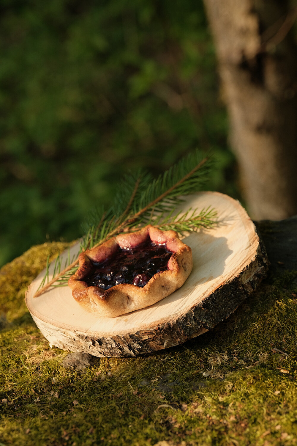 Фото Глэмпинг Marmar