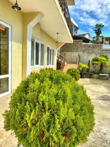 GardenBerry LooResort  фото 9