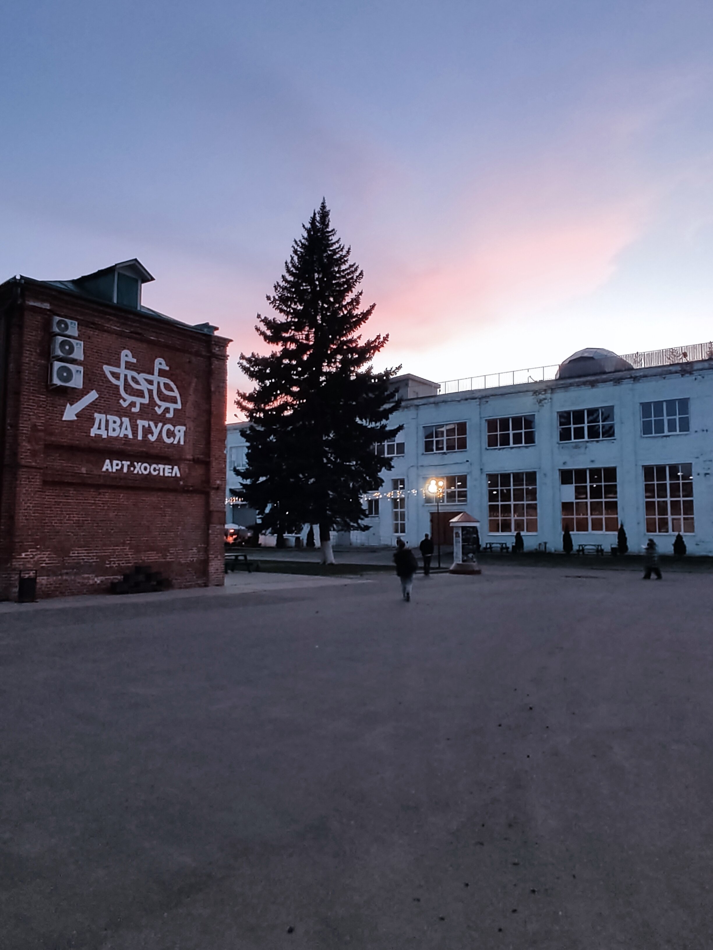 Фото Два гуся