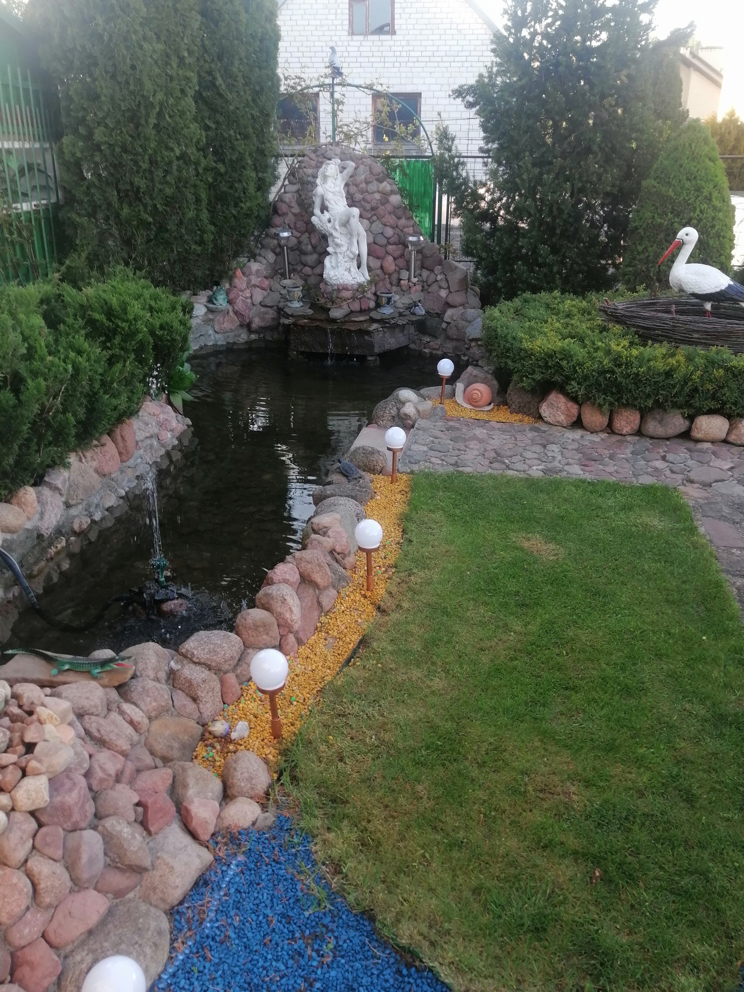 Фото Звезда