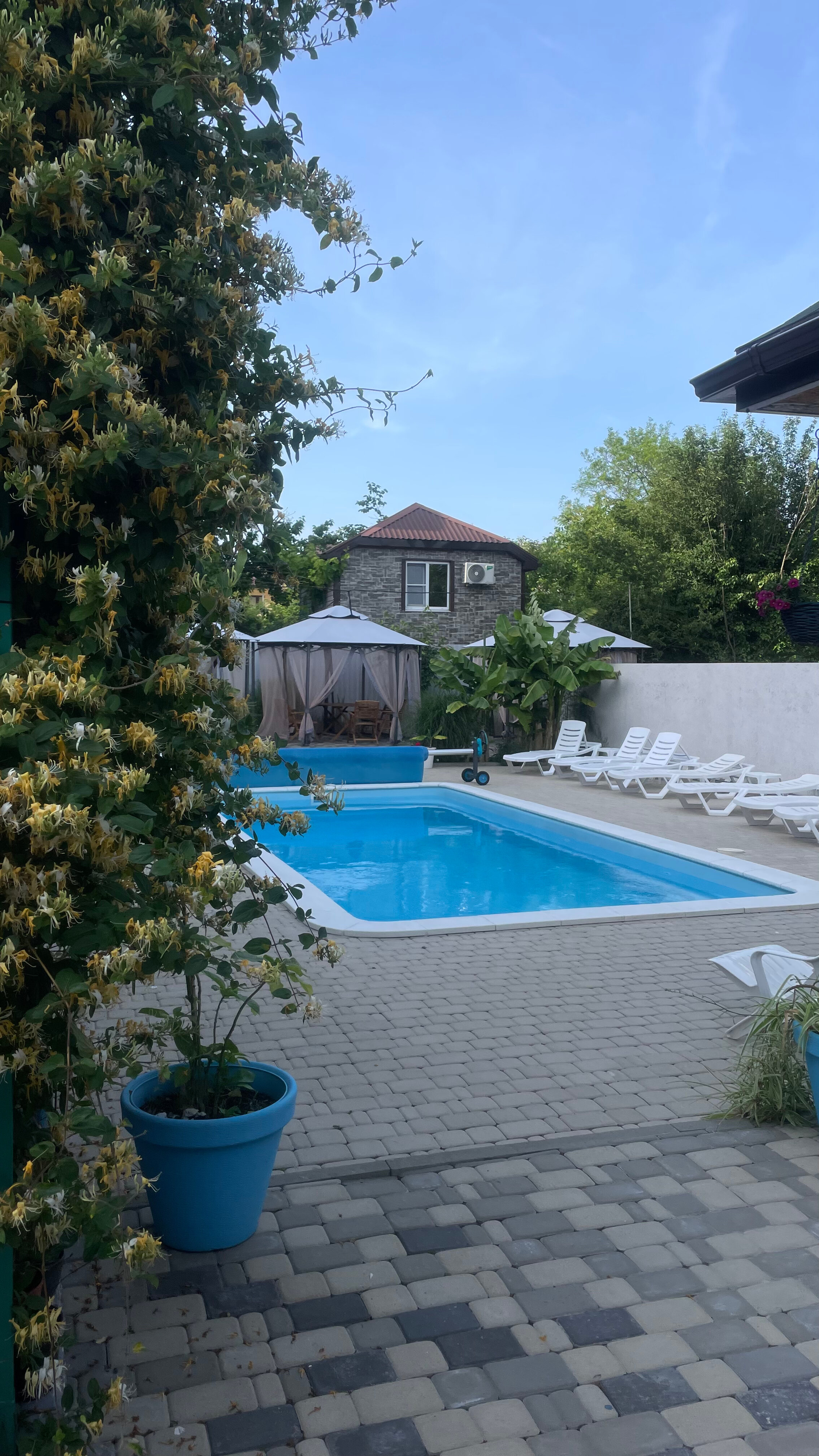 Фото Альтитюд