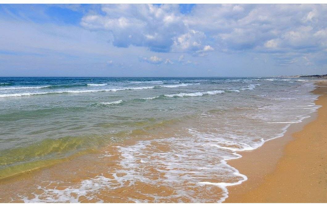 Фото Фараон