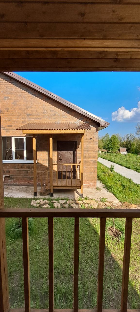 Фото Ёлки-Палки