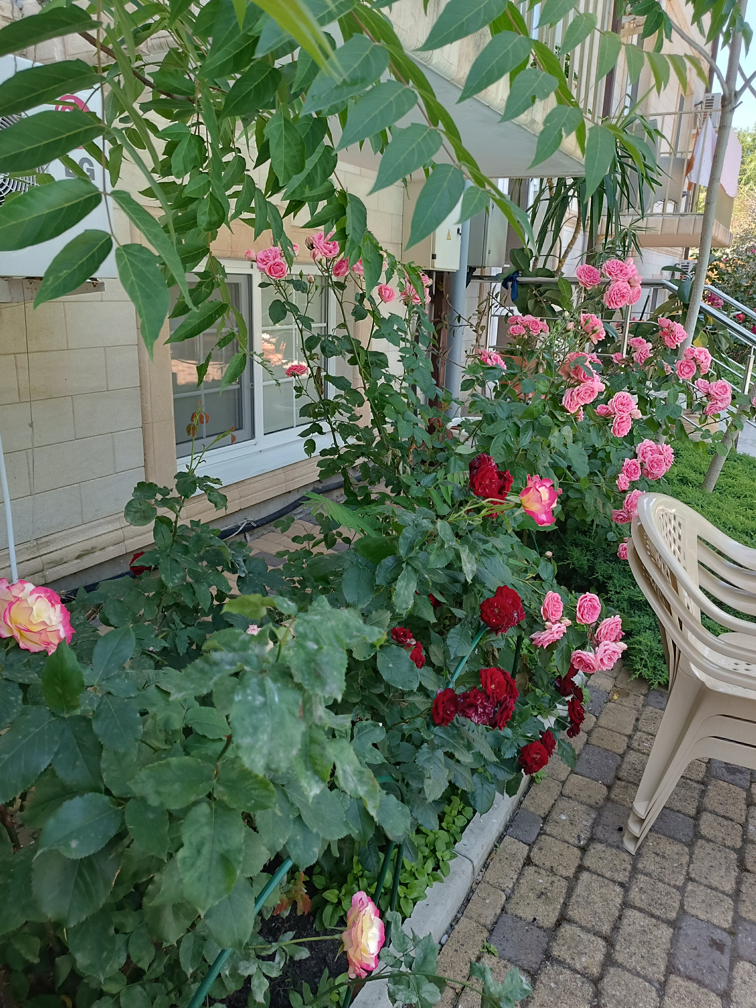 Фото Премьер