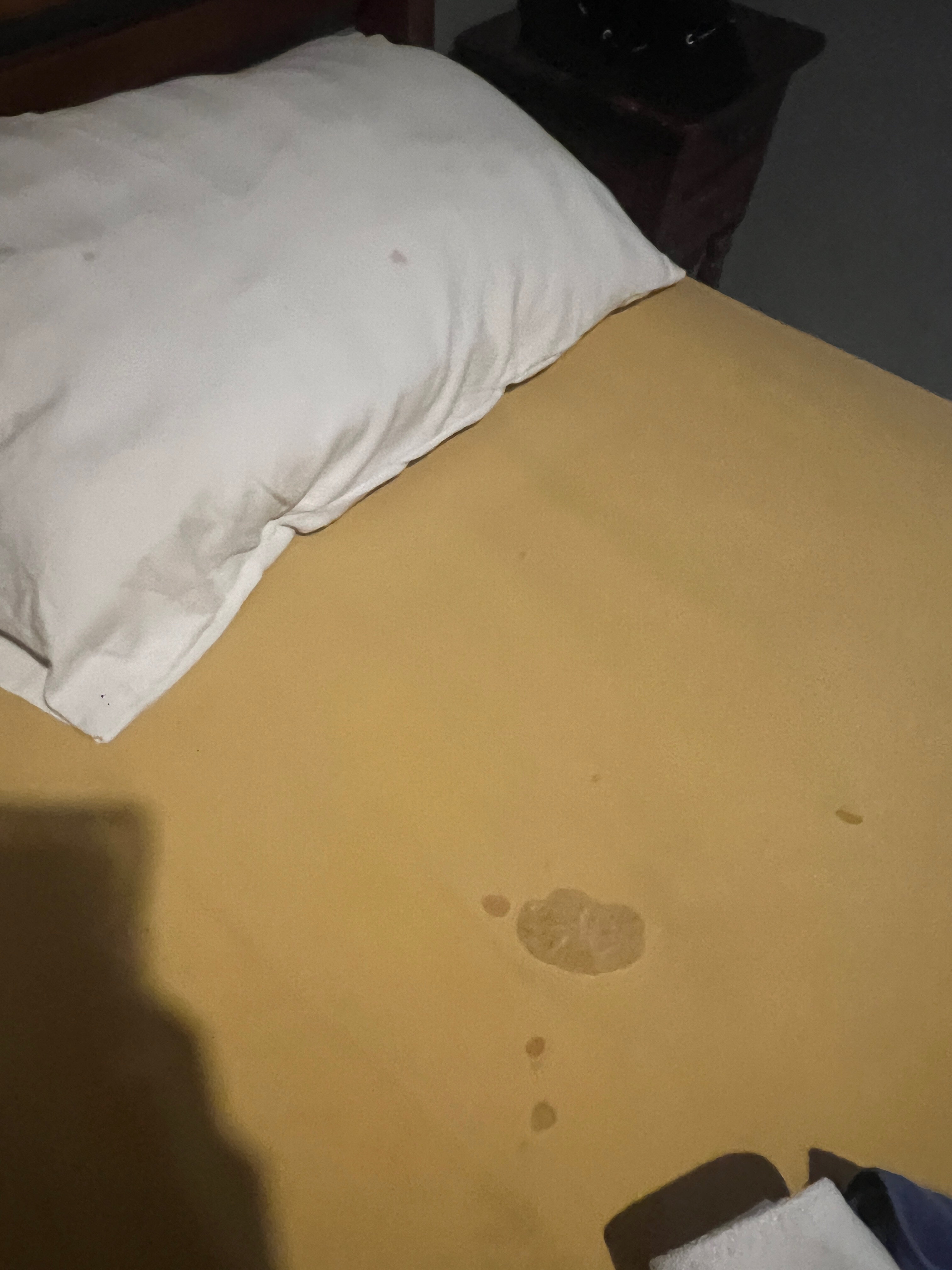 Фото Guest House Matahari