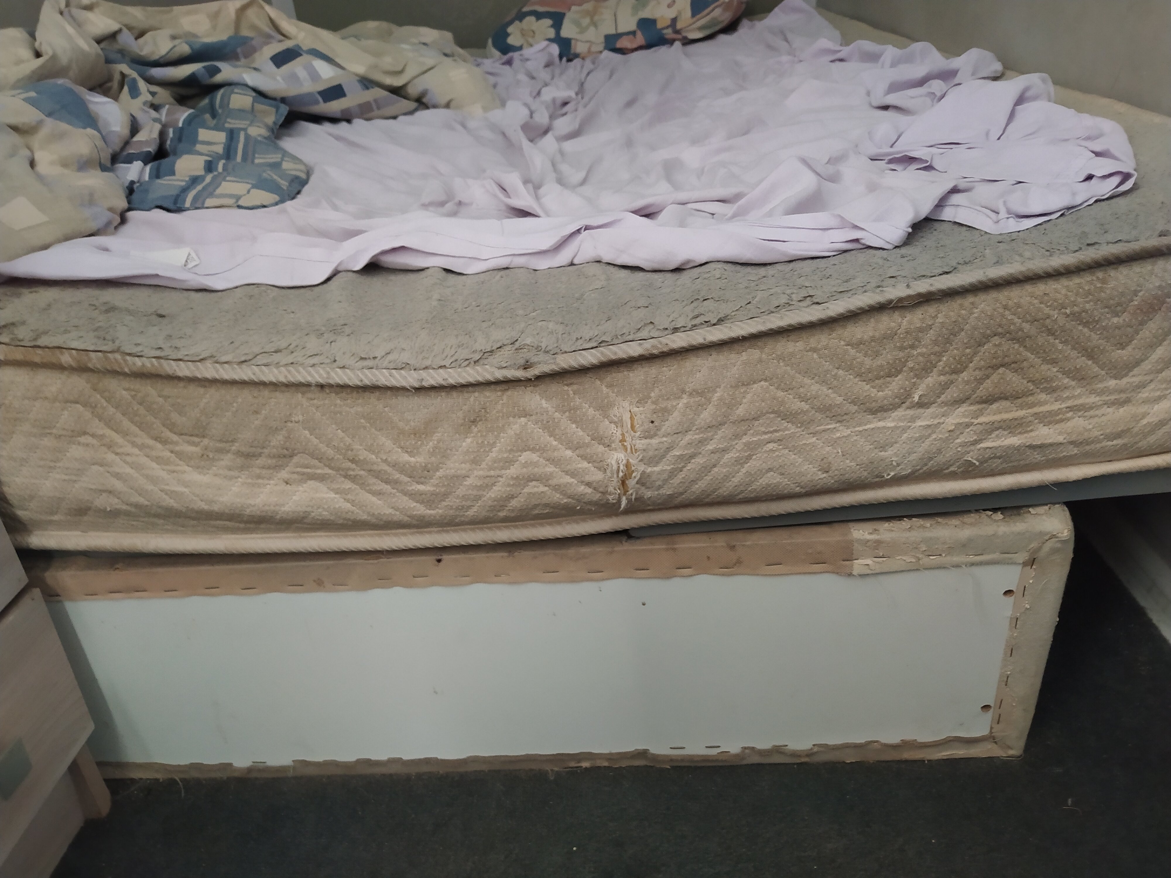 Фото Spbinn Marko