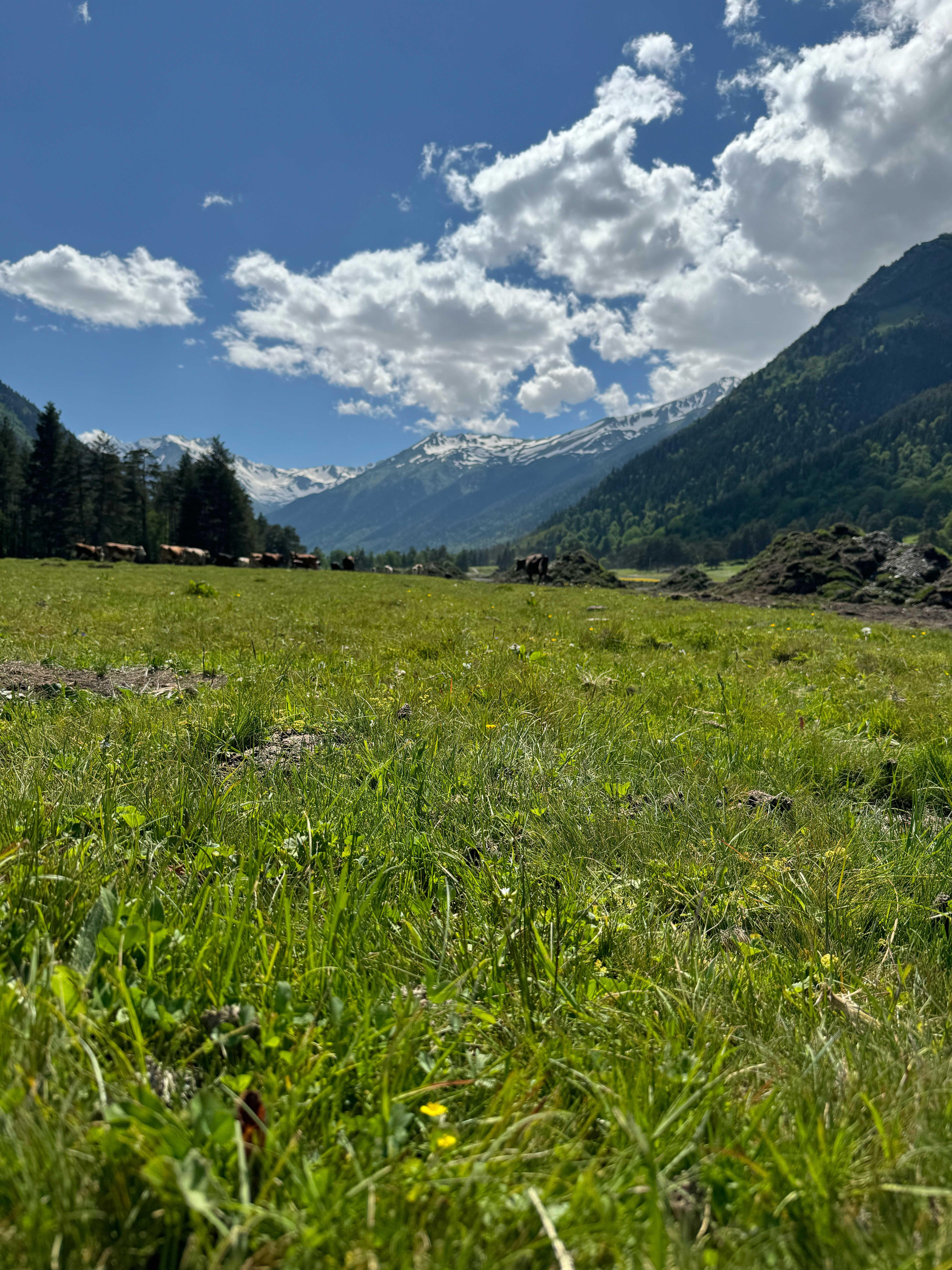 Фото Истера трэвл