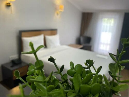 Гостиница Aras Hotels Corlu в Чорлу