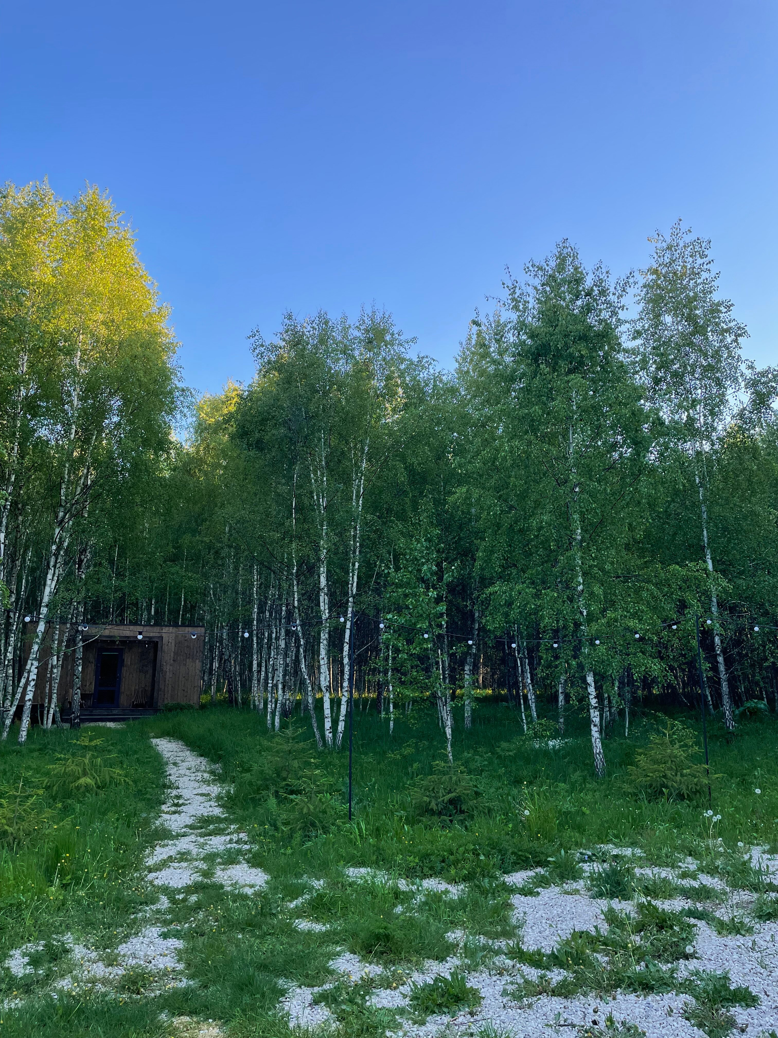 Фото Два зайца