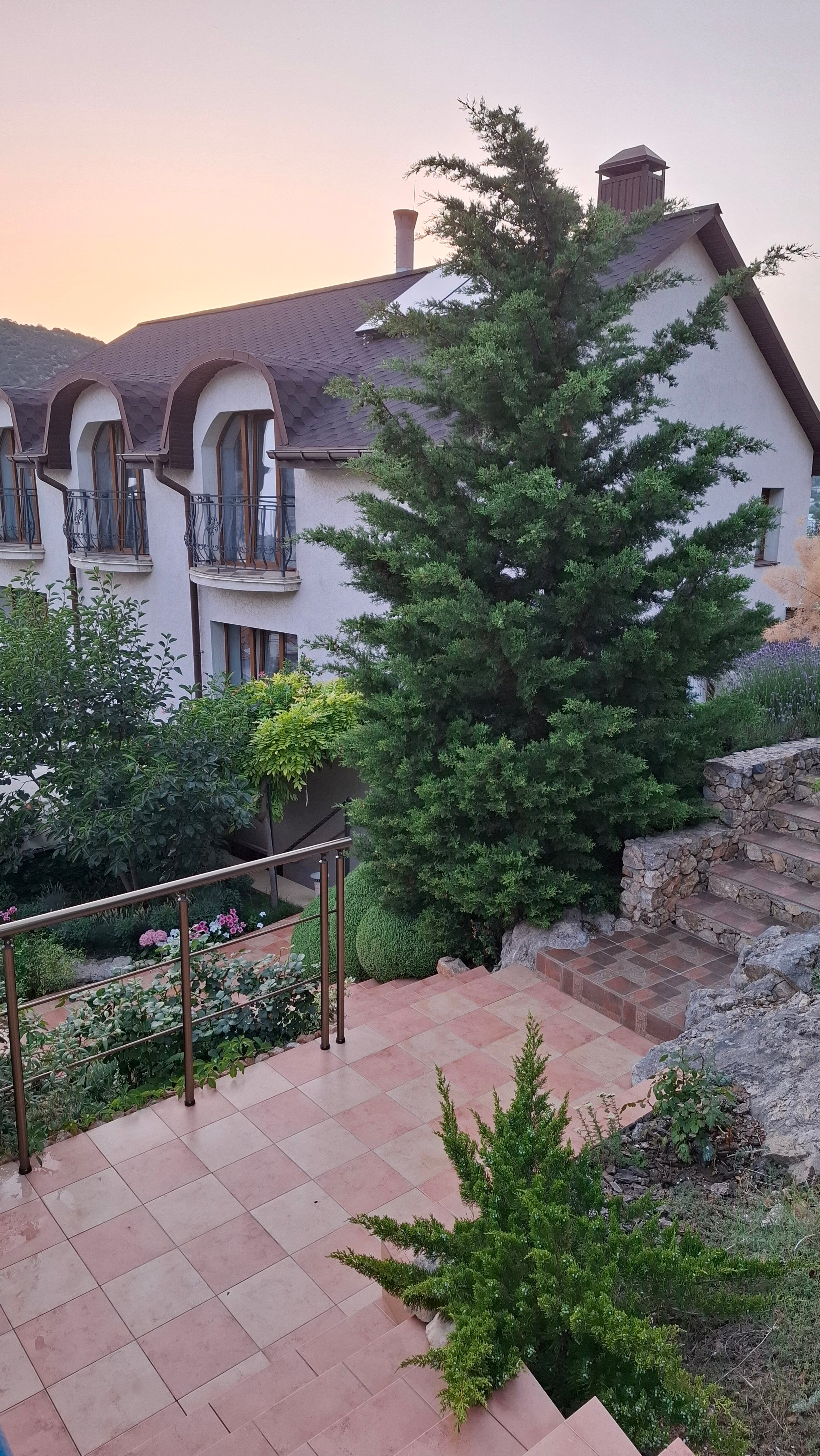 Фото Кипарис