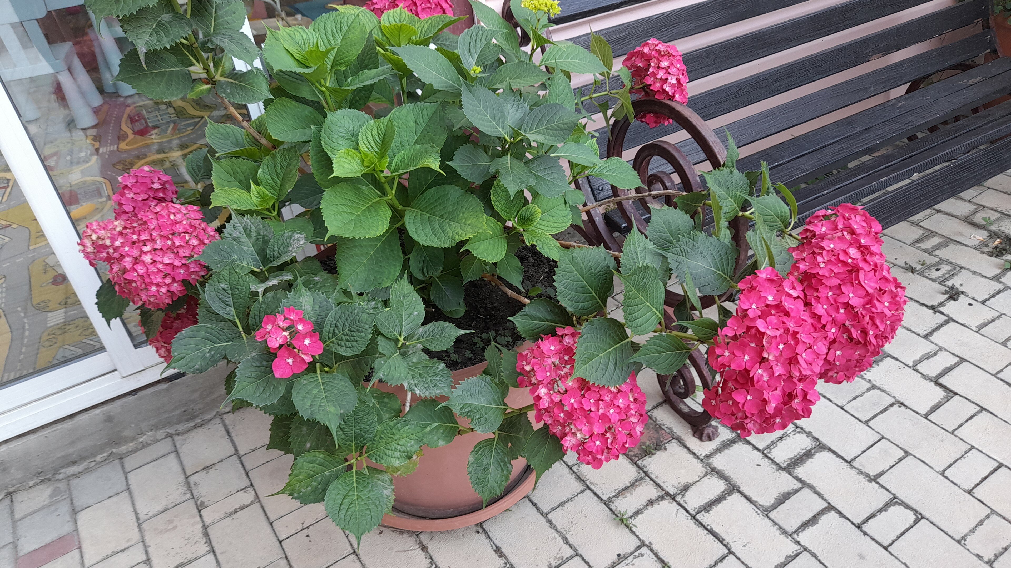 Фото Тихий уголок