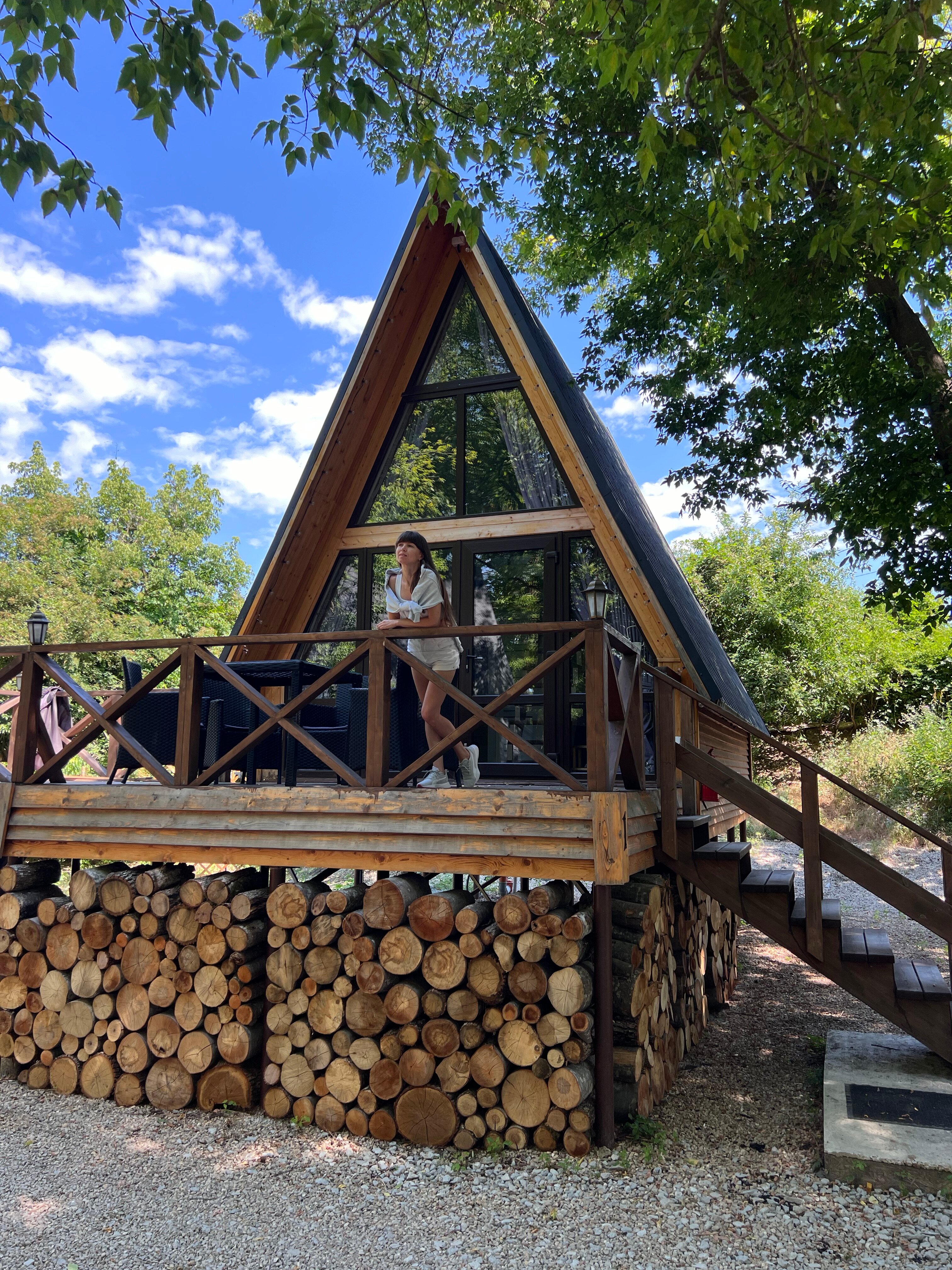 Фото Богатый лес