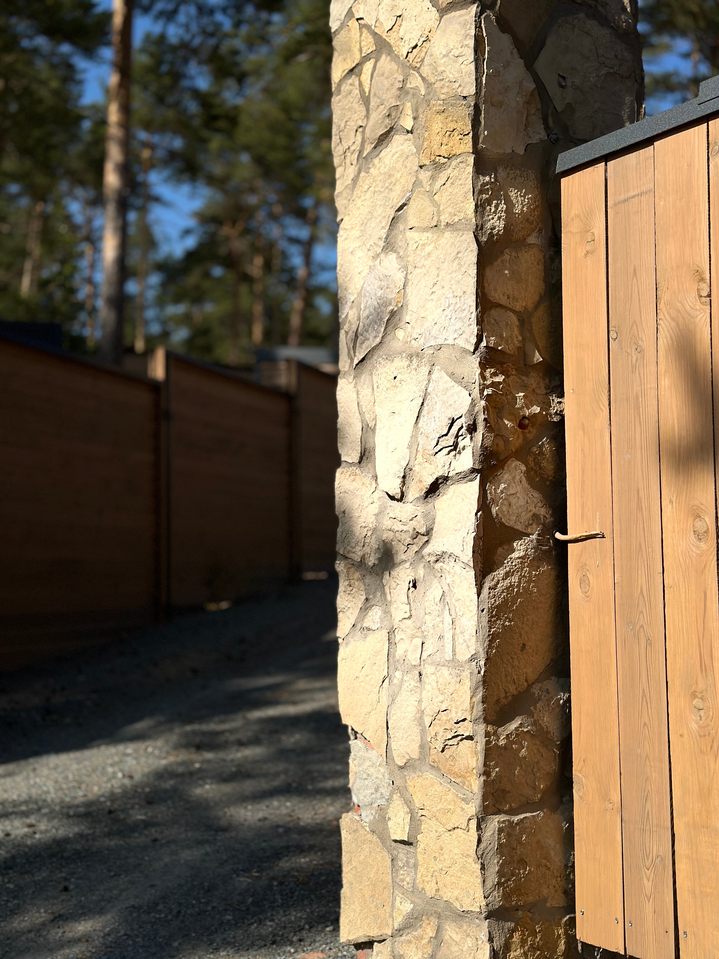 Фото Янтарь