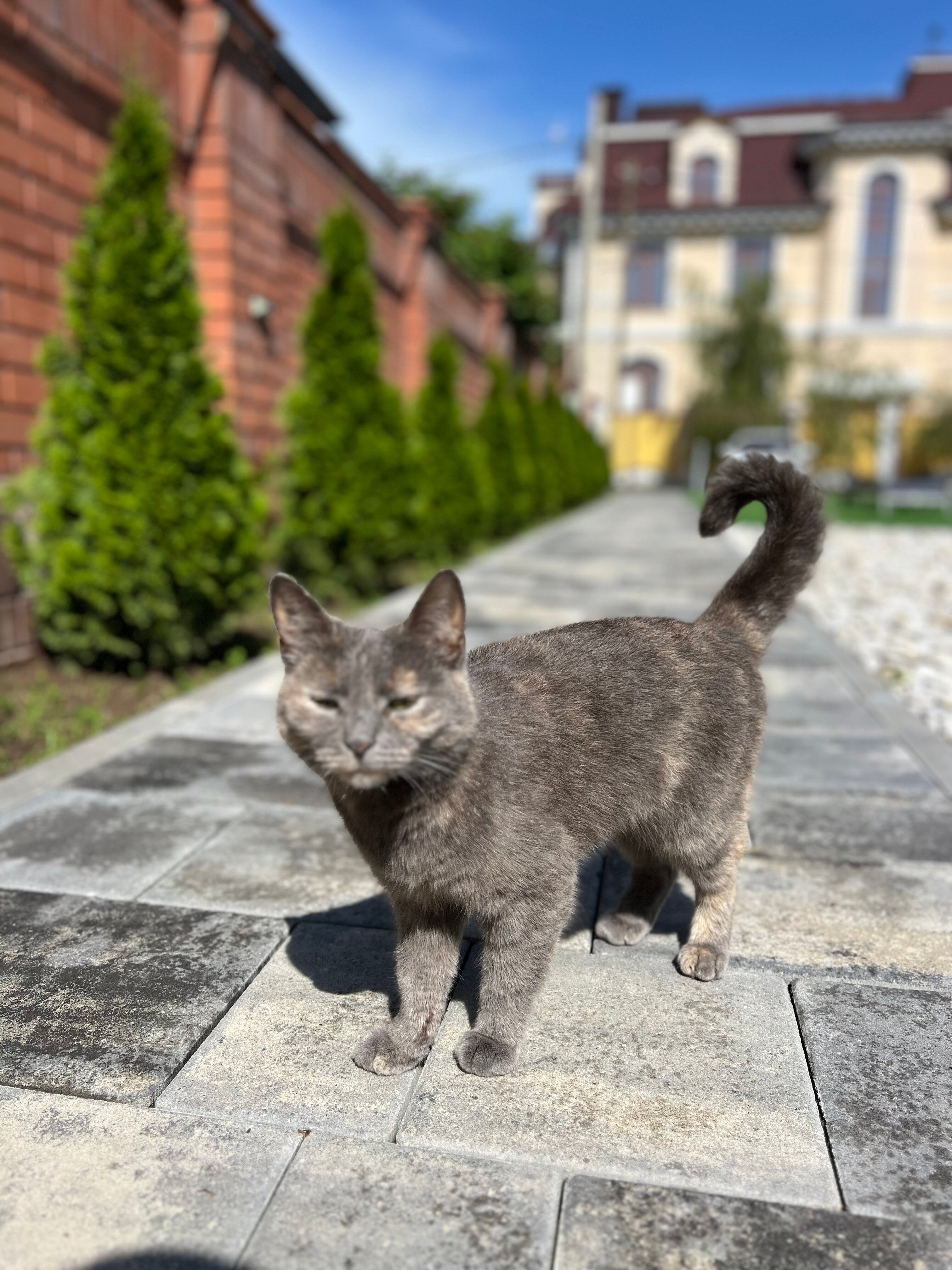 Фото МоеЛето