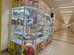 Stuff universe (Morskoy prospekt, 70), gift and souvenir shop