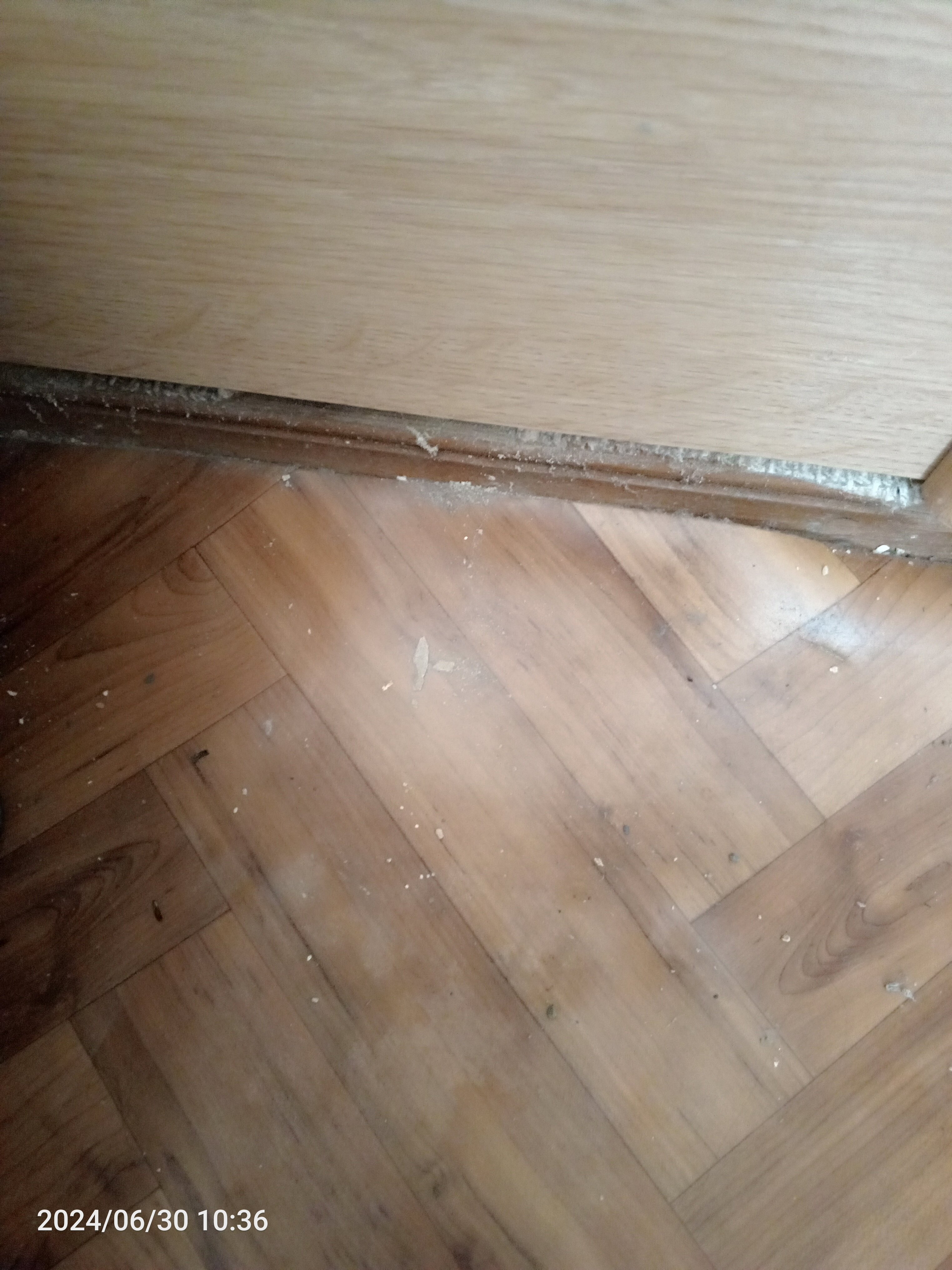 Фото Светлана