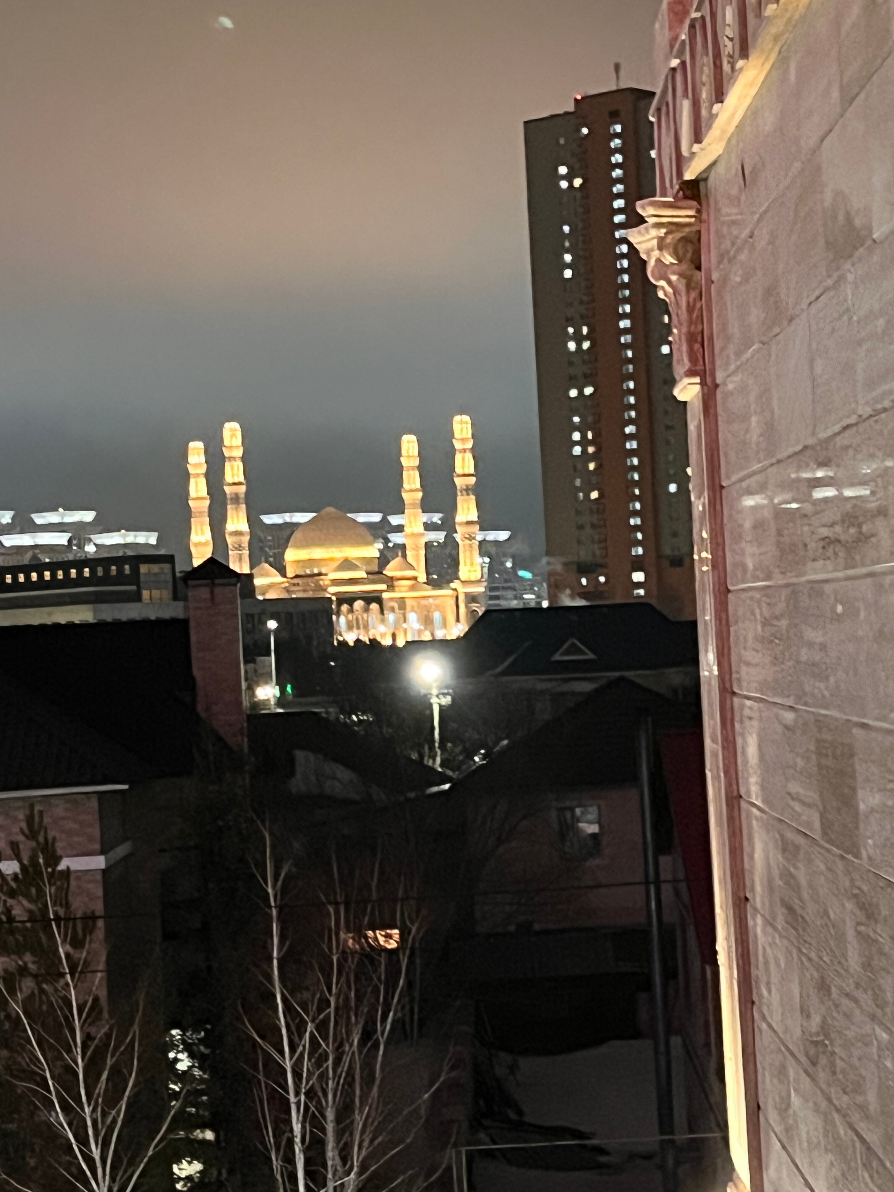 Фото Mirotel Hotel Astana