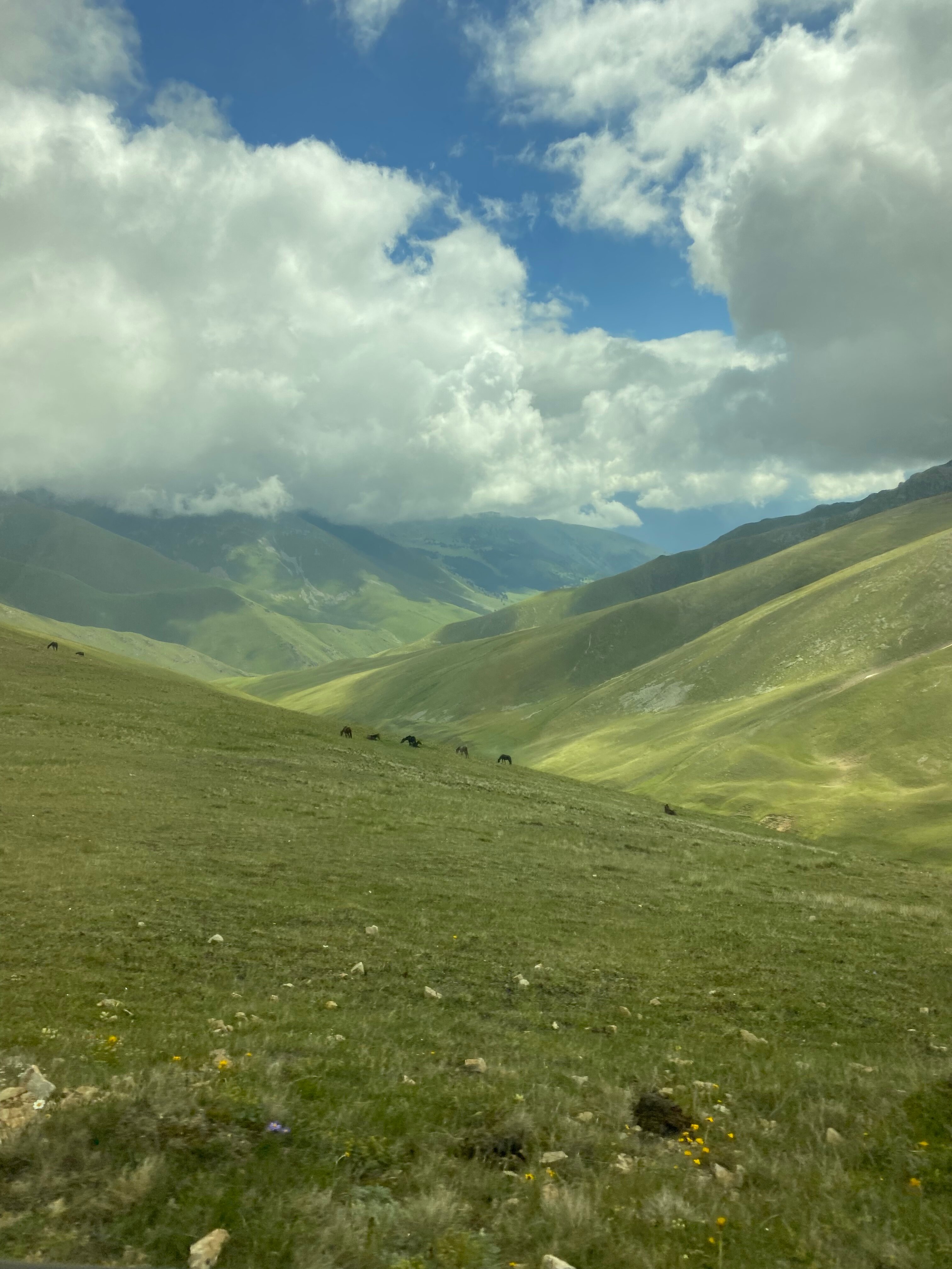 Фото Дача МиСо Теберда