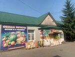 Витамины (ulitsa Balyabina, 134), grocery